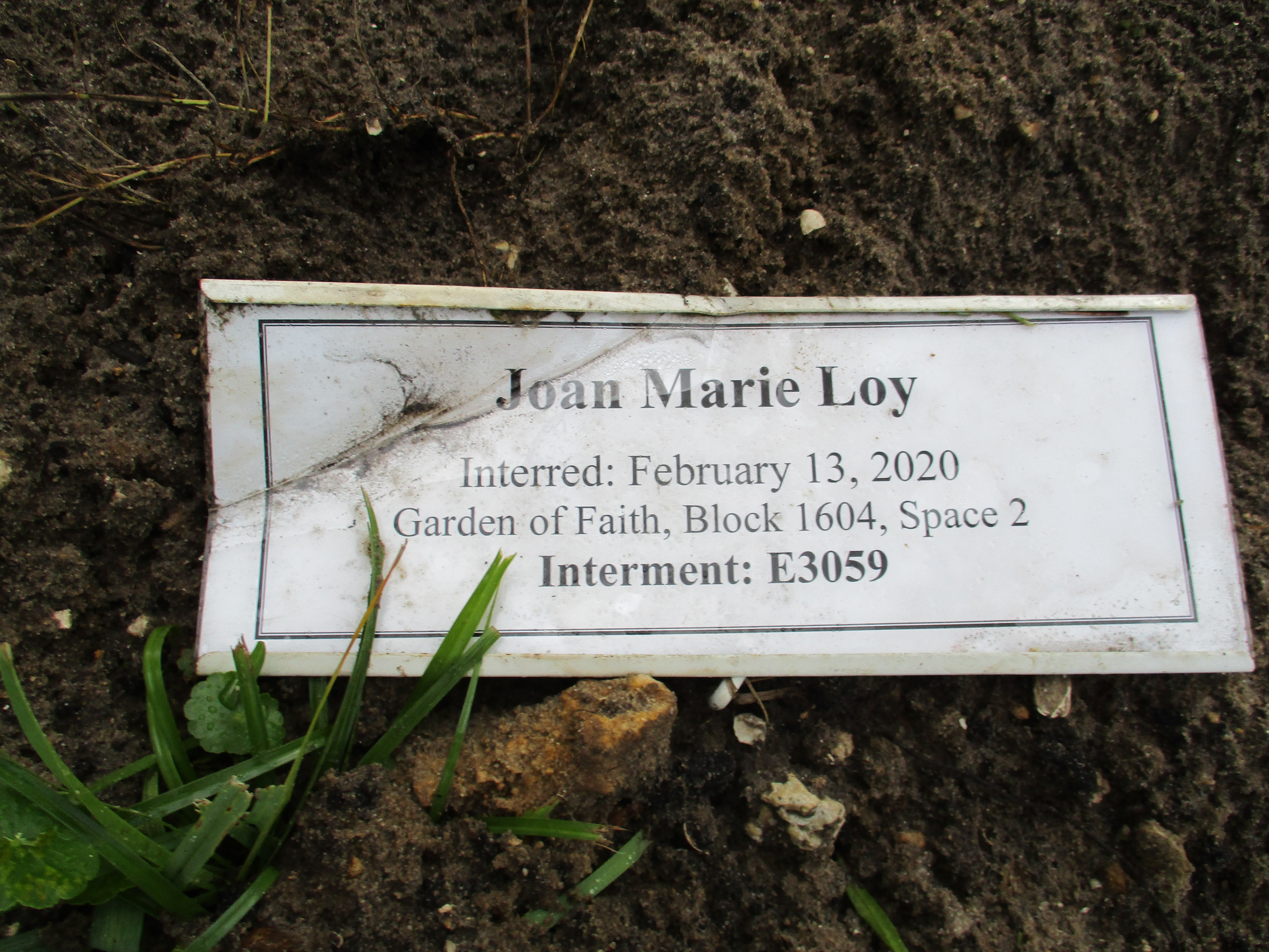 Joan Marie Loy