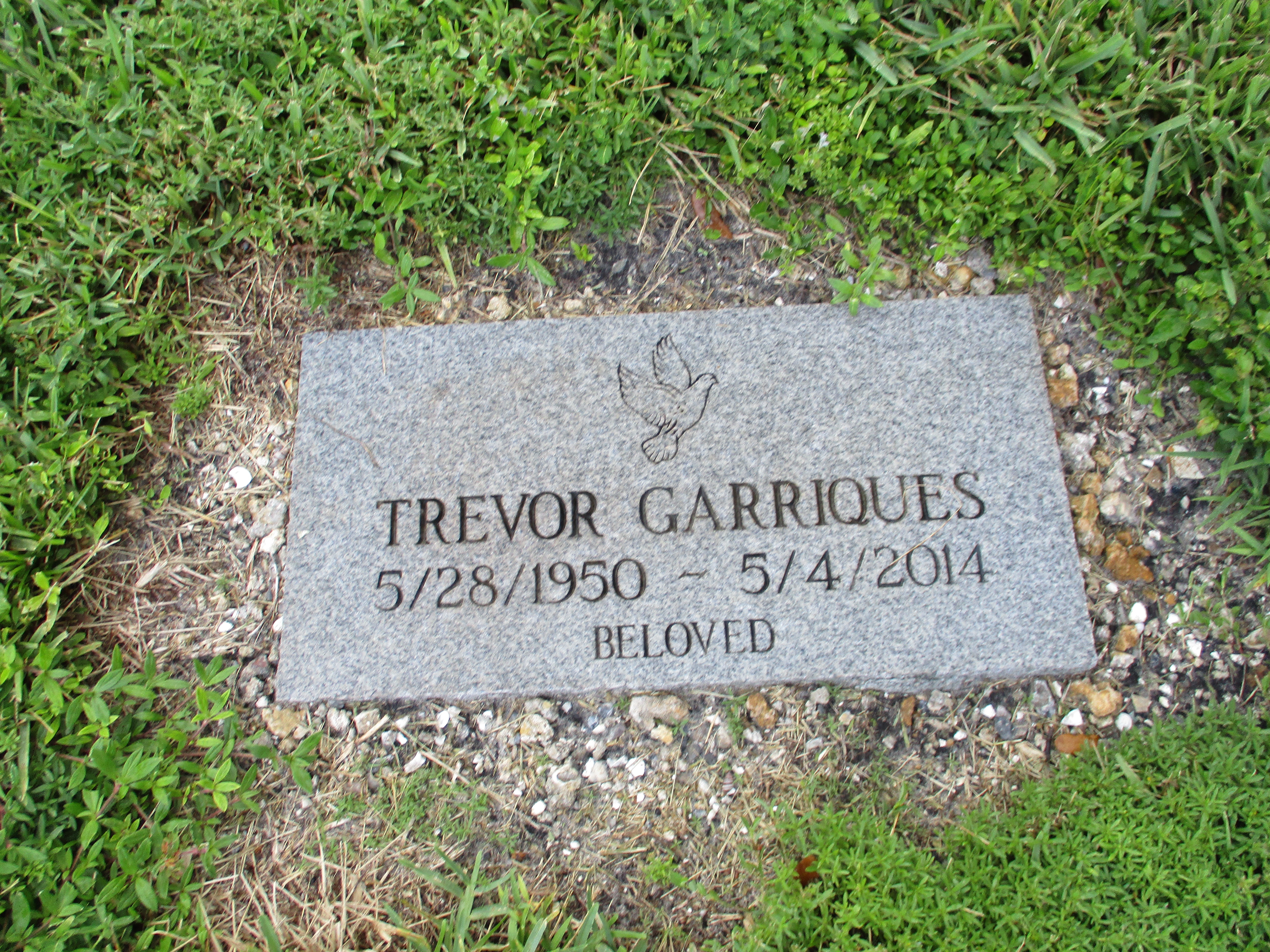 Trevor Garriques
