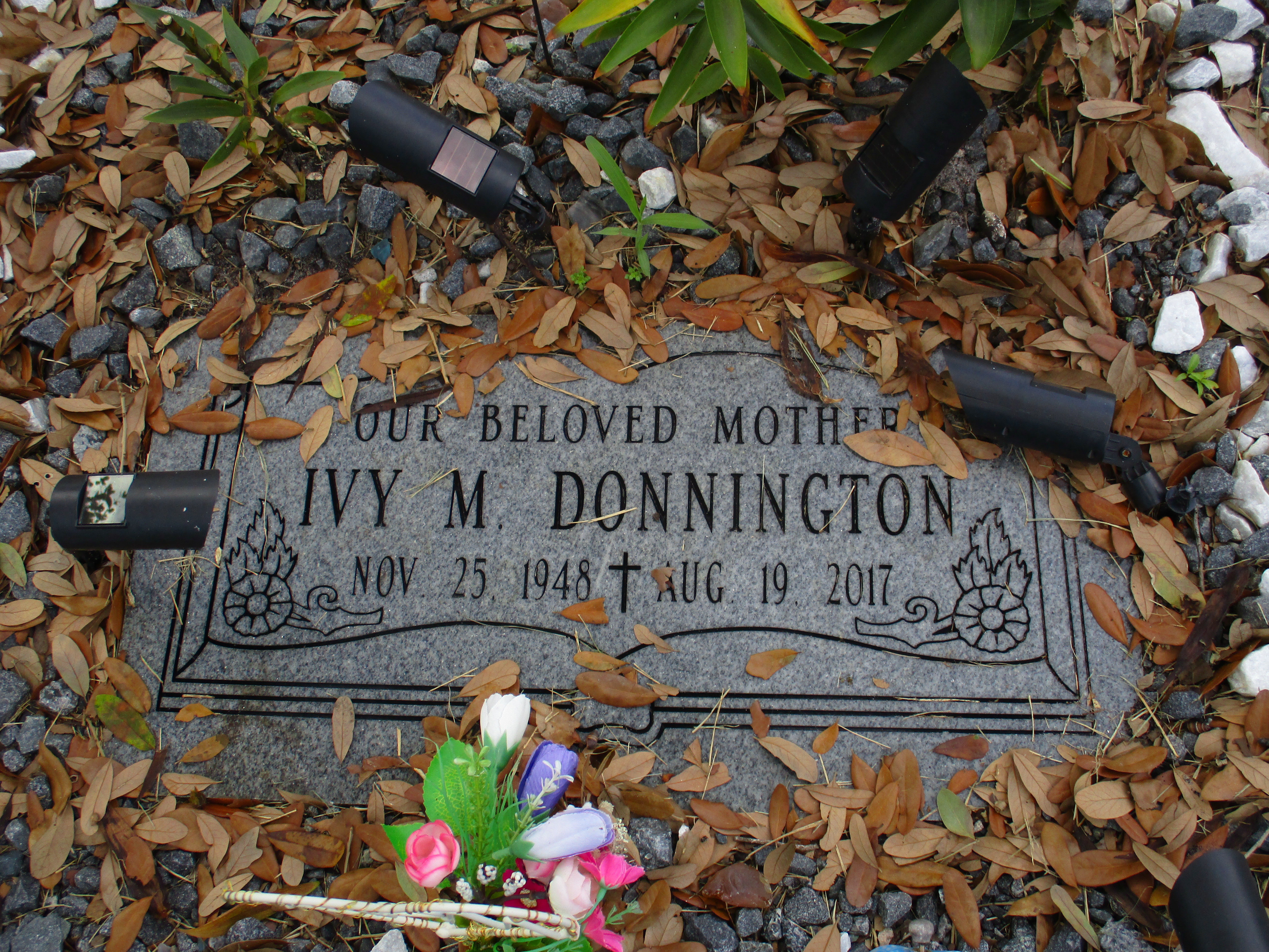 Ivy M Donnington