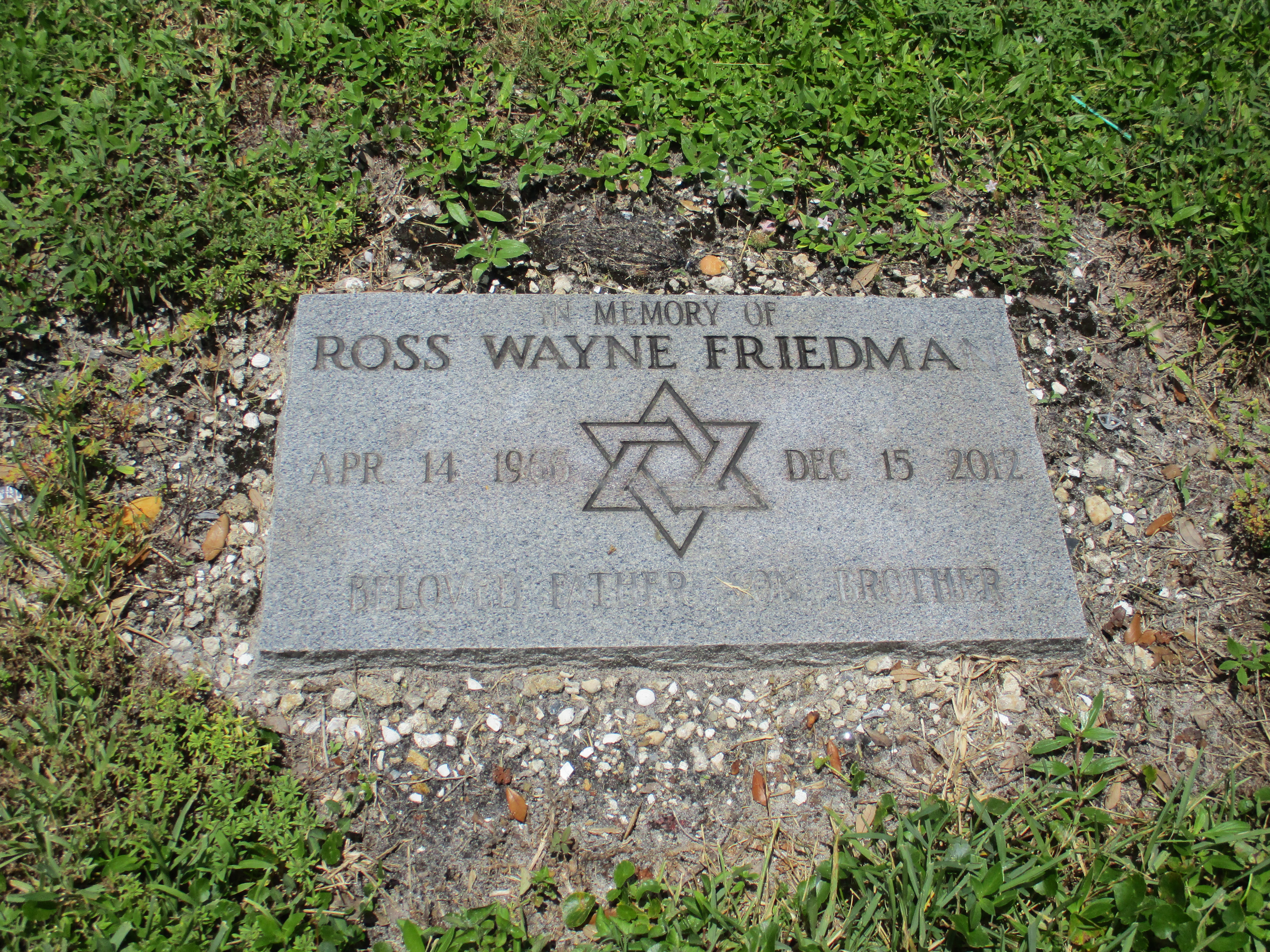 Ross Wayne Friedma