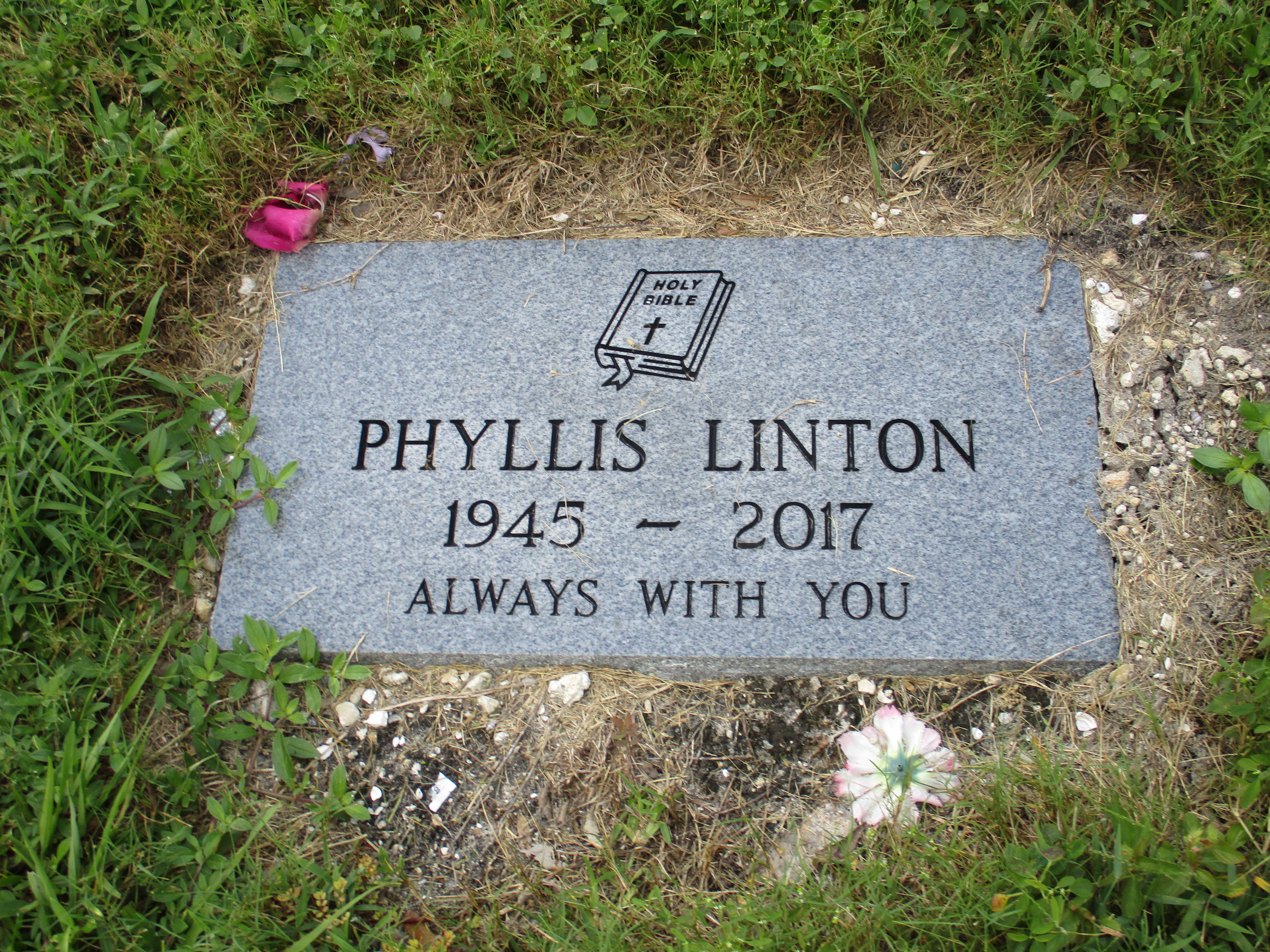 Phyllis Linton