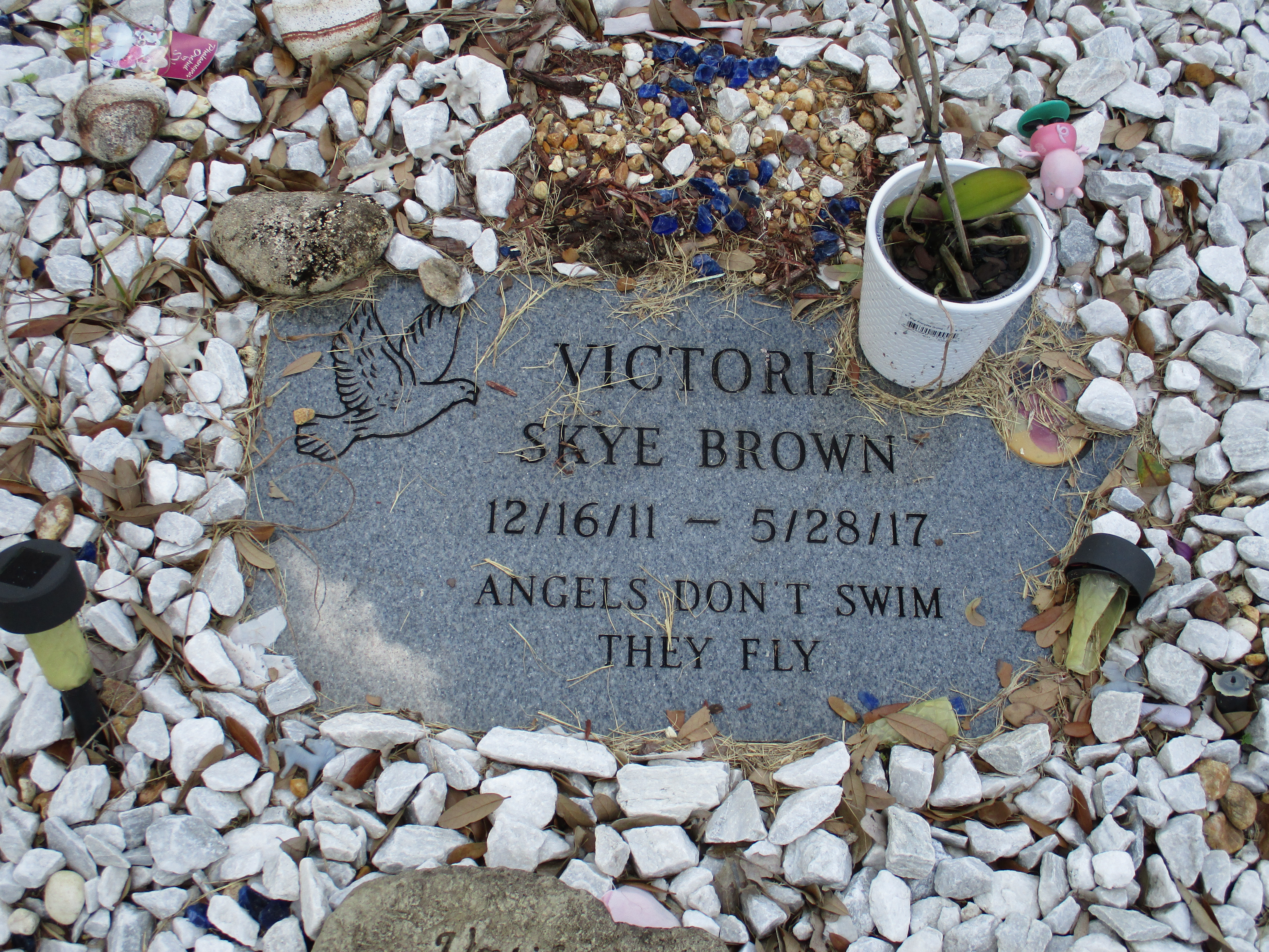 Victoria Skye Brown