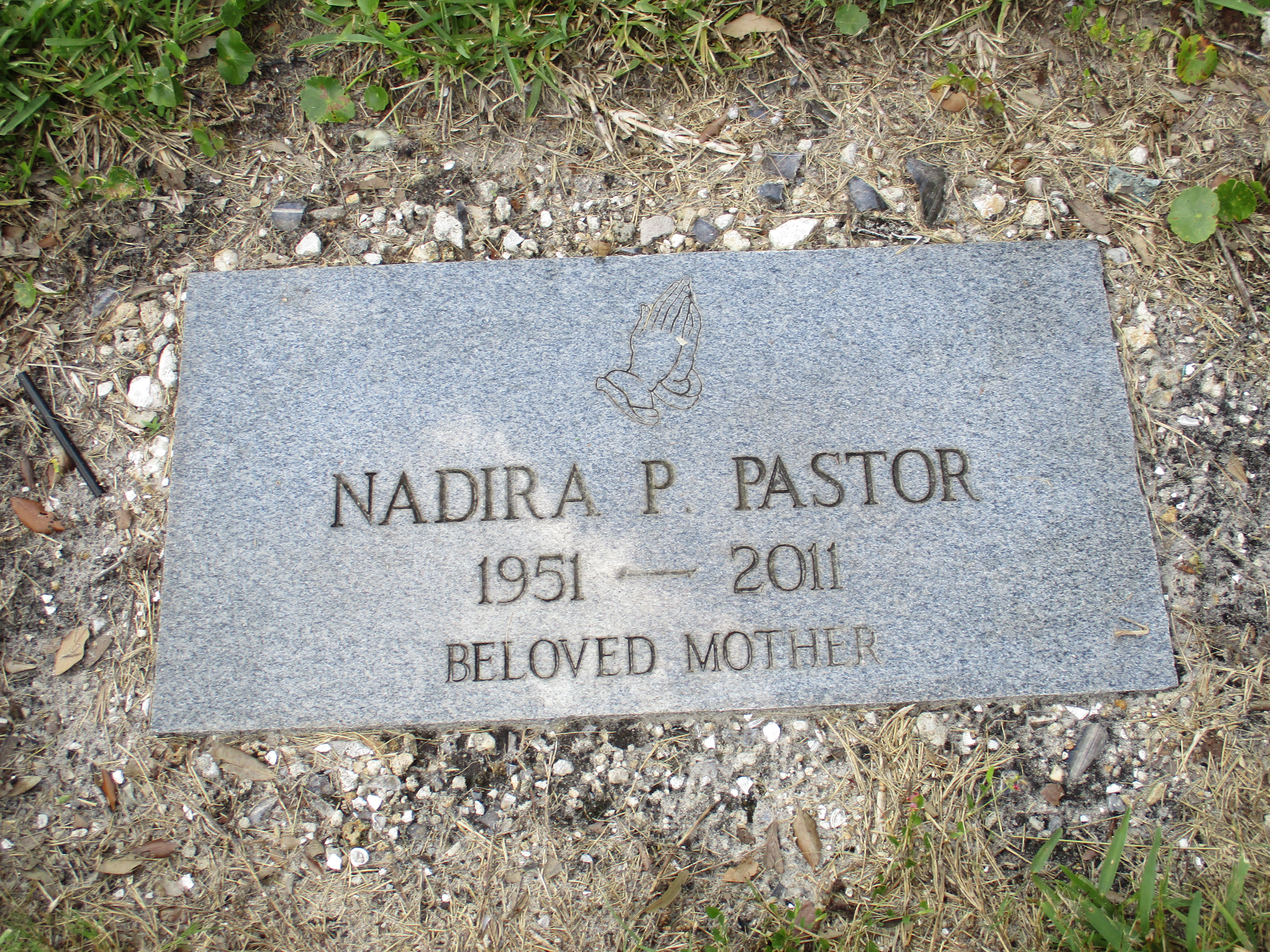 Nadira P Pastor