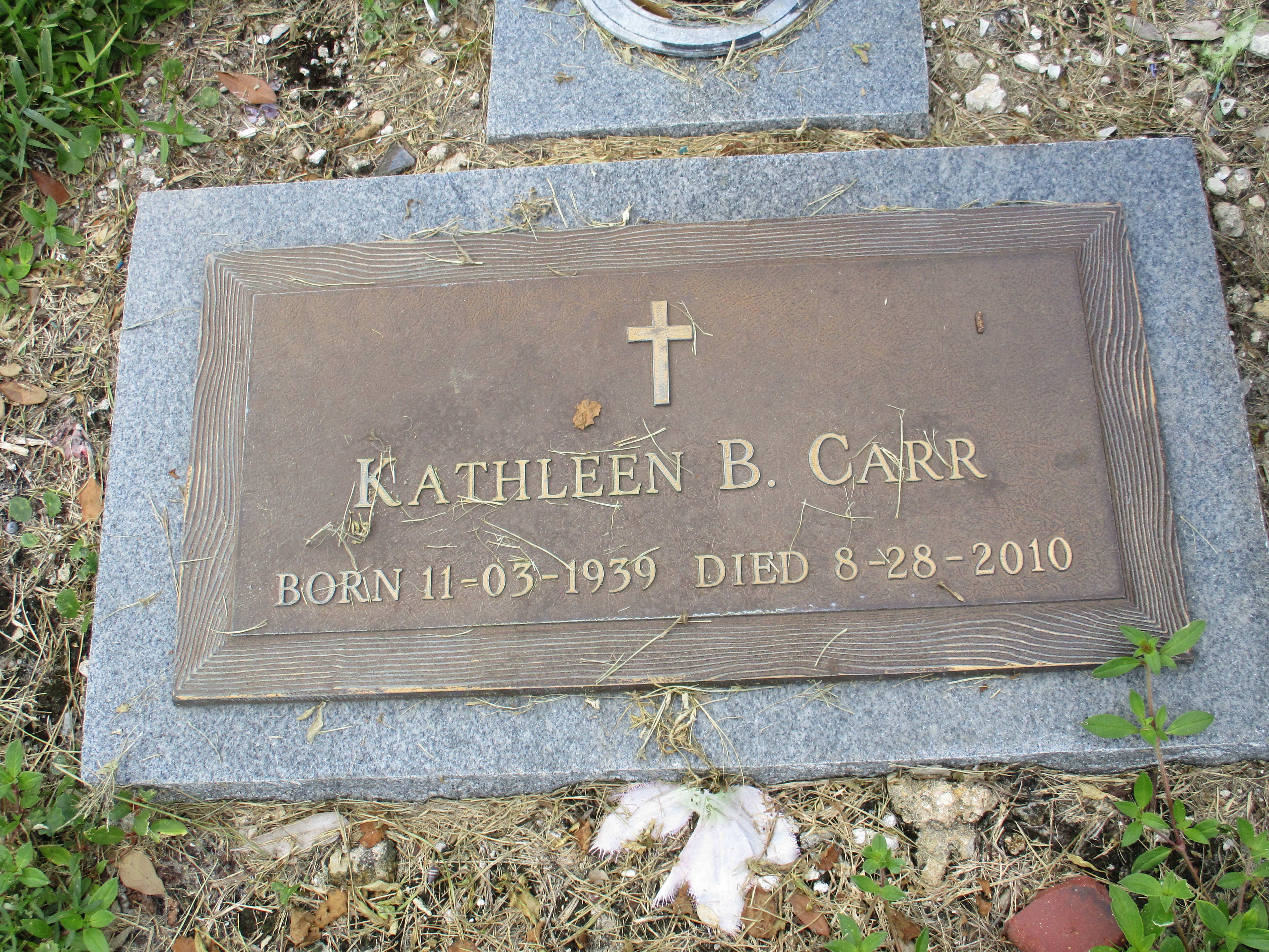 Kathleen B Carr