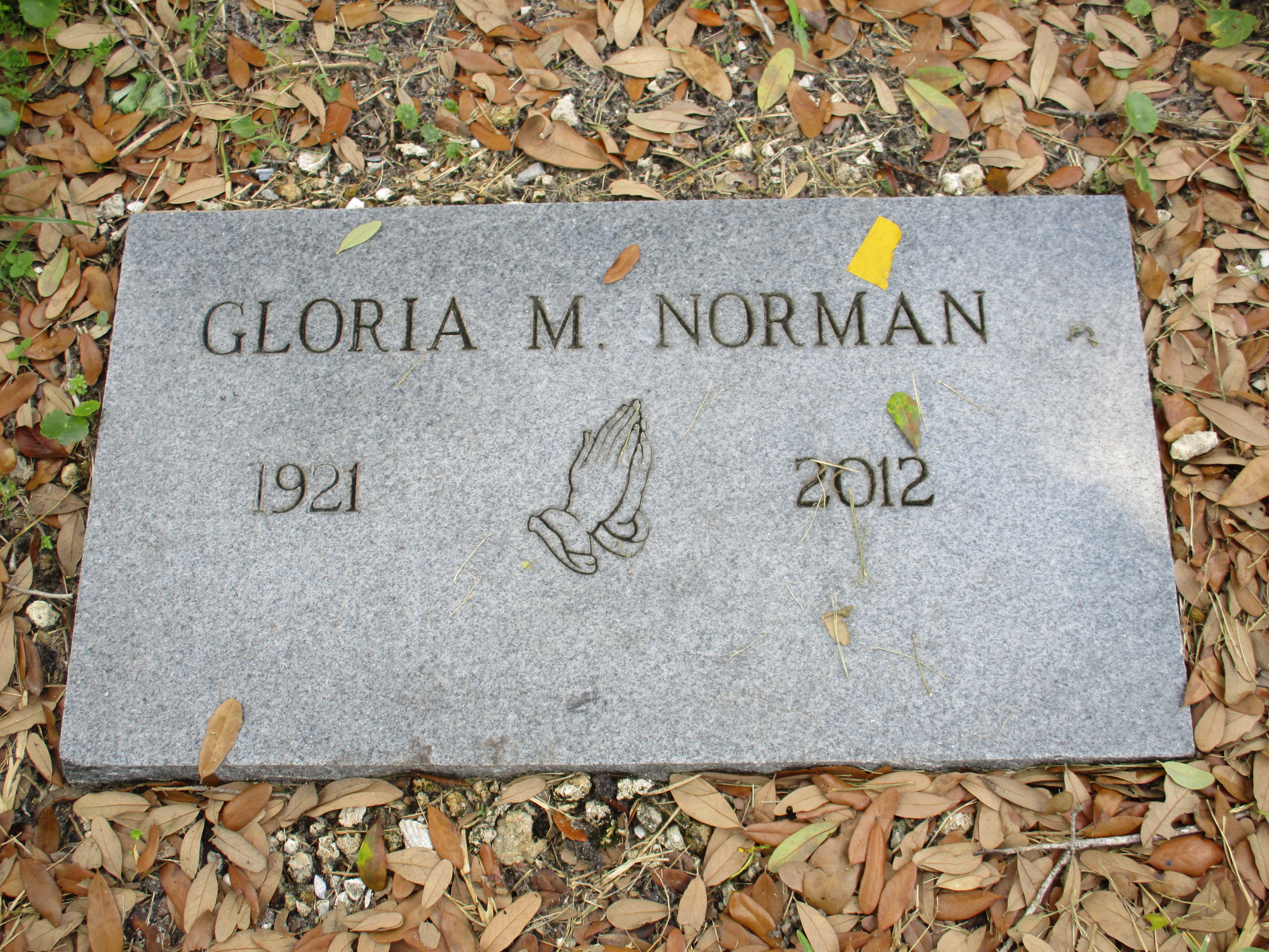 Gloria M Norman