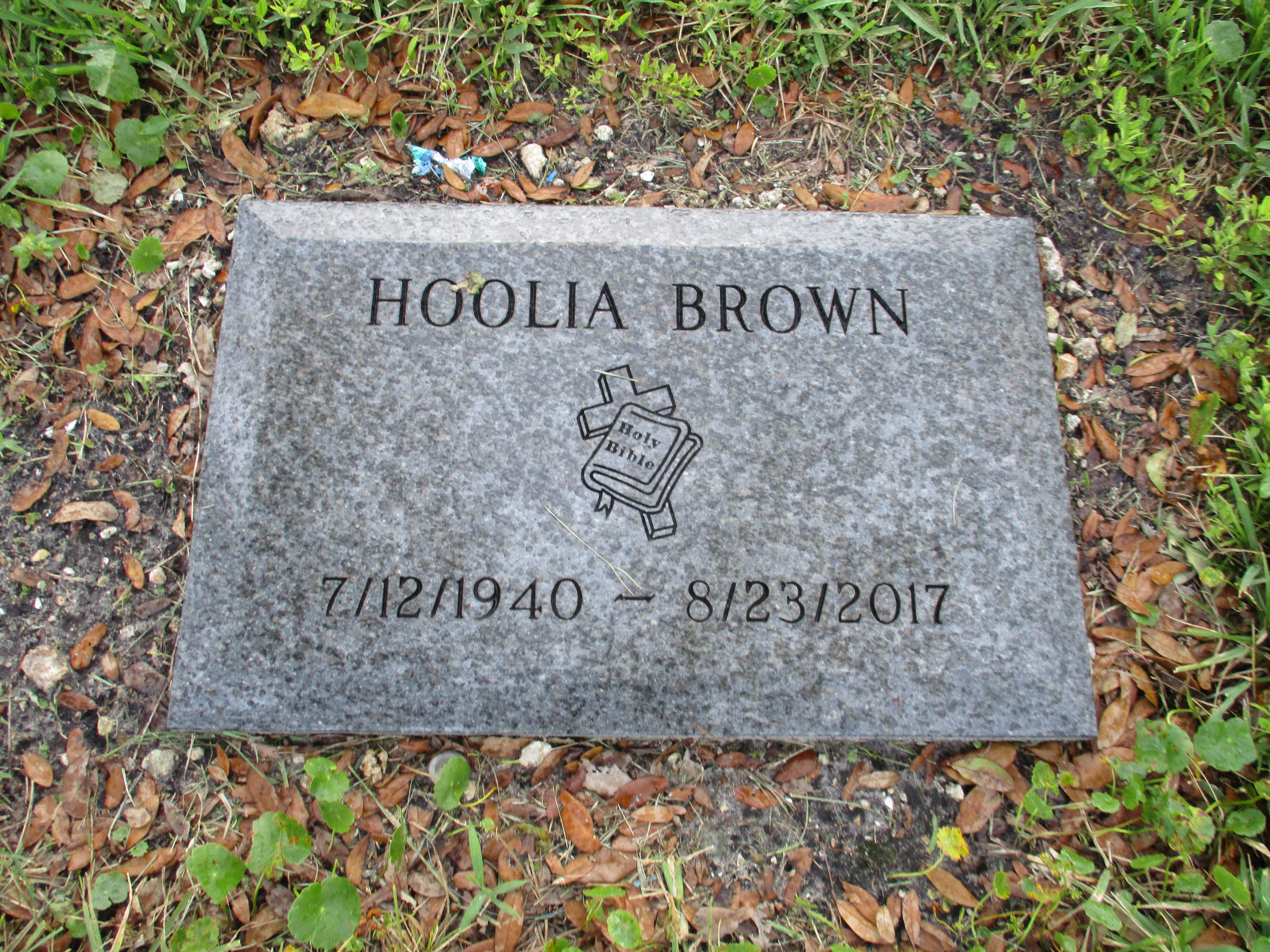 Hoolia Brown