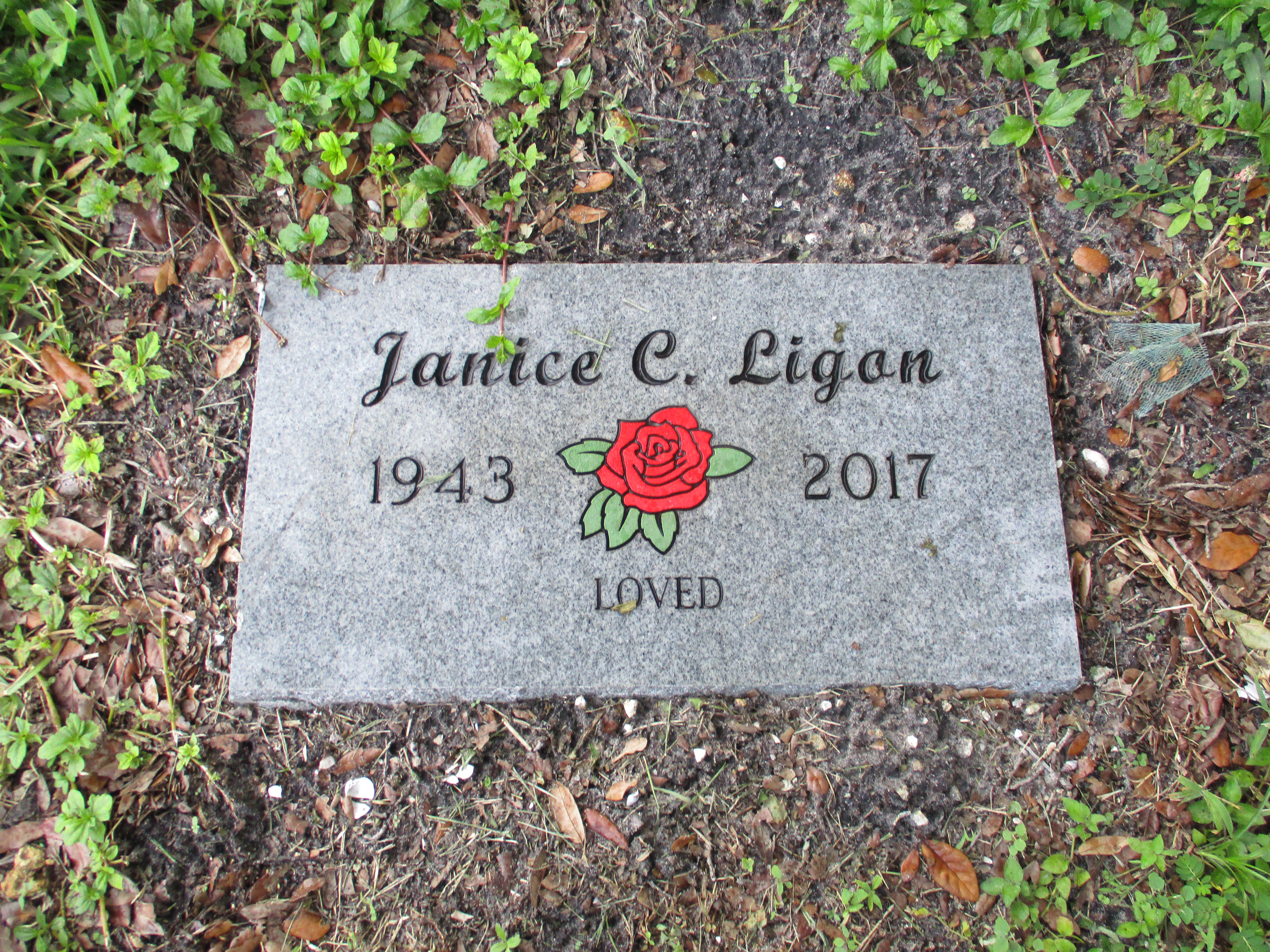 Janice C Ligan