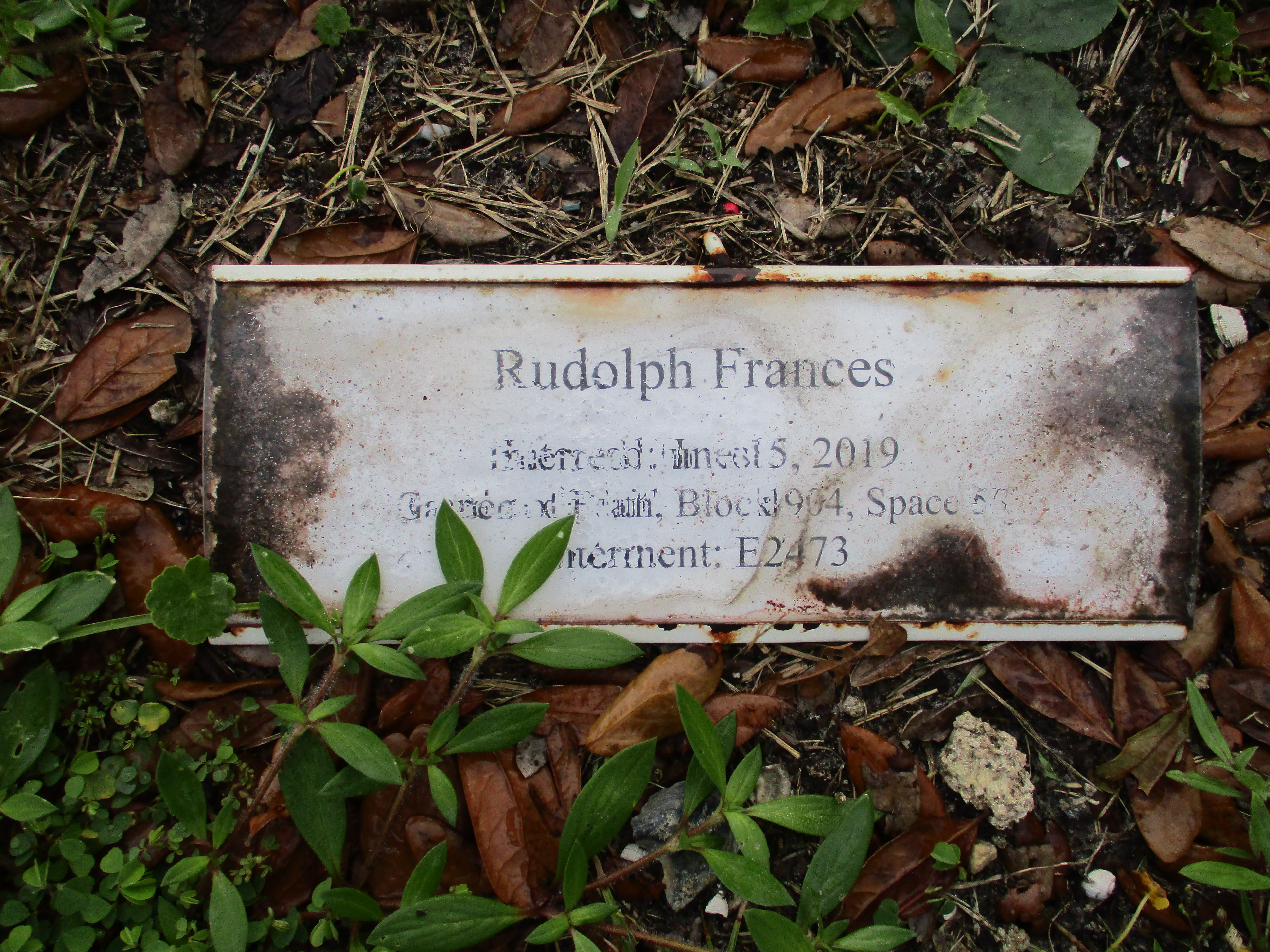 Rudolph Frances