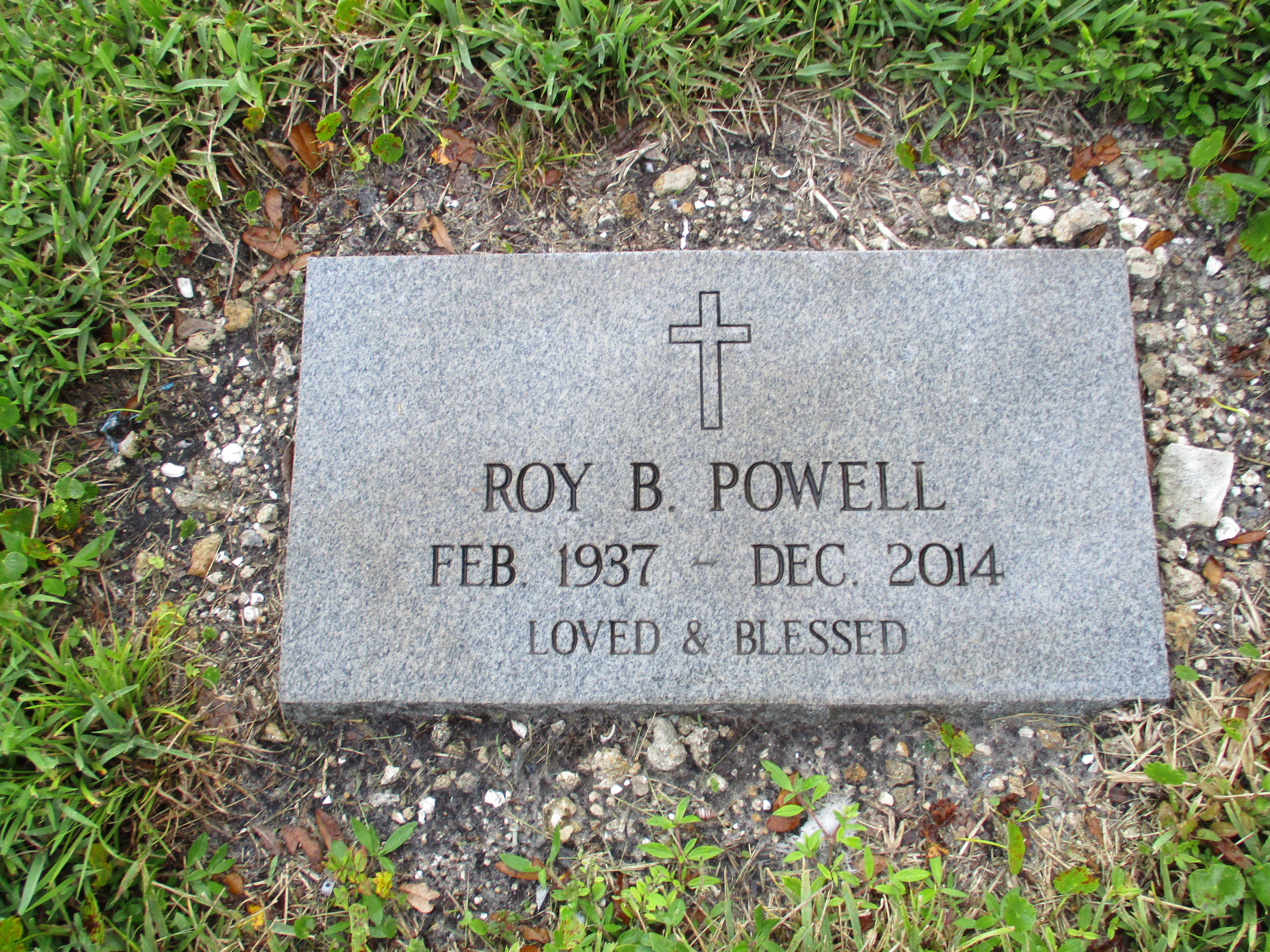 Roy B Powell