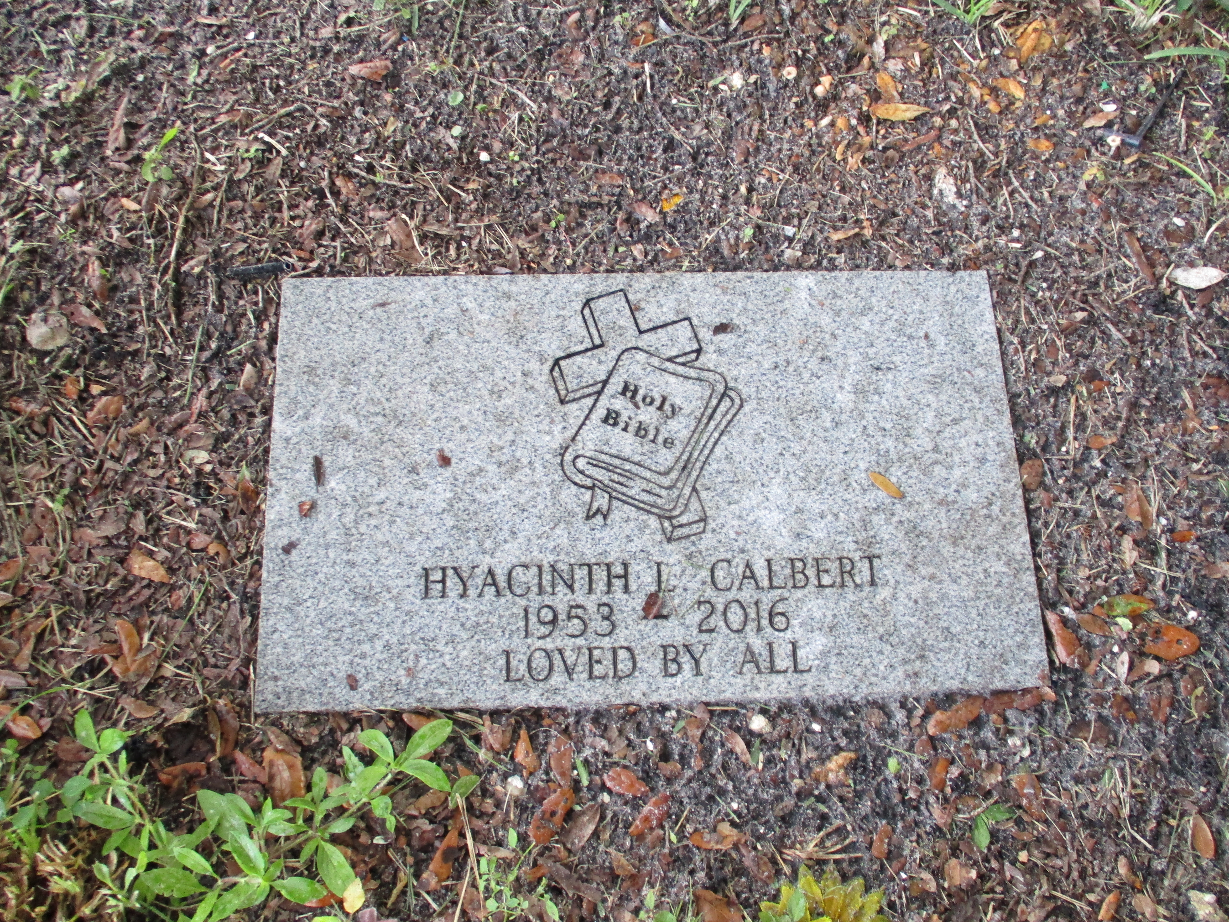 Hyacinth L Calbert