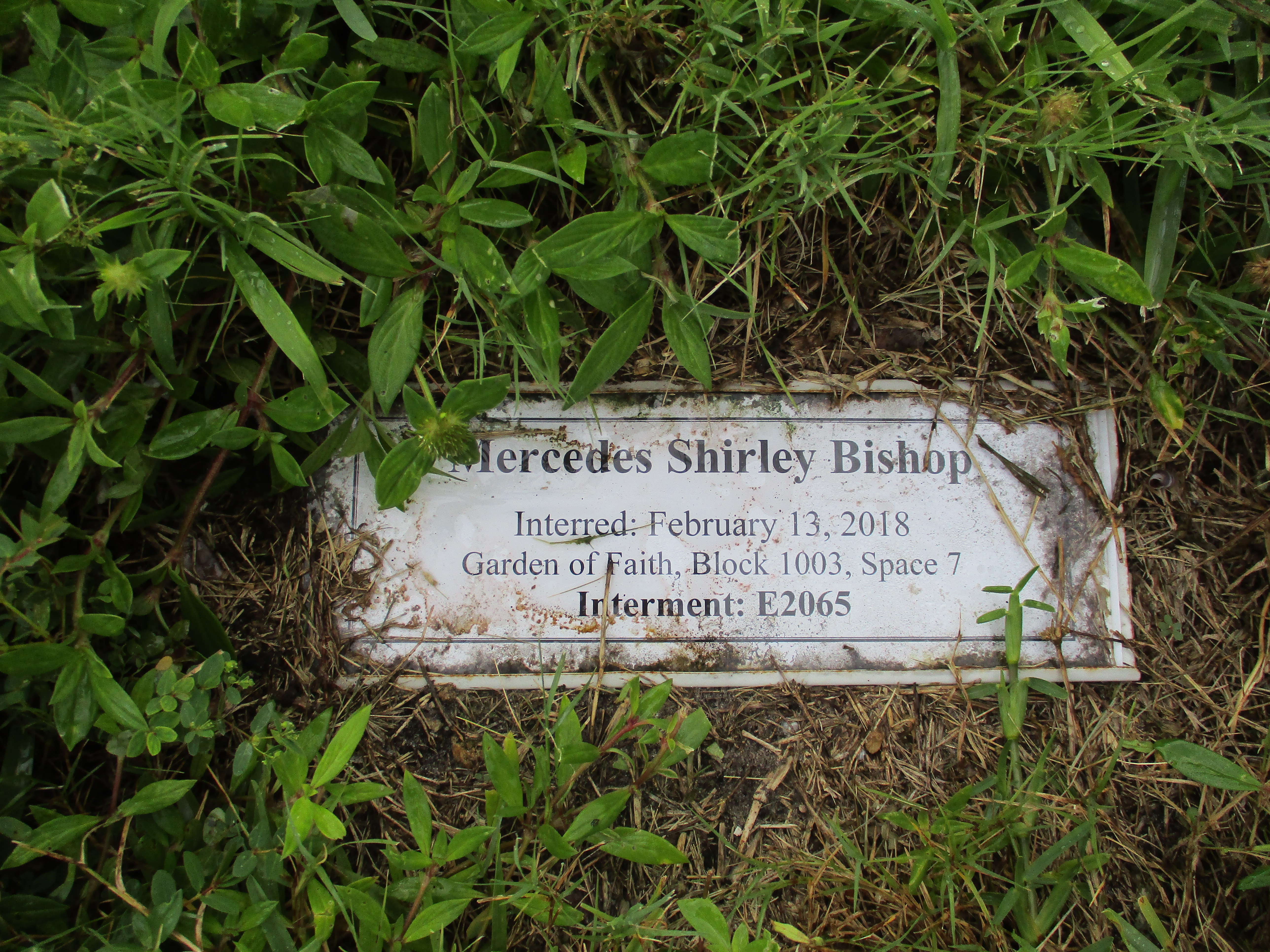 Mercedes Shirley Bishop