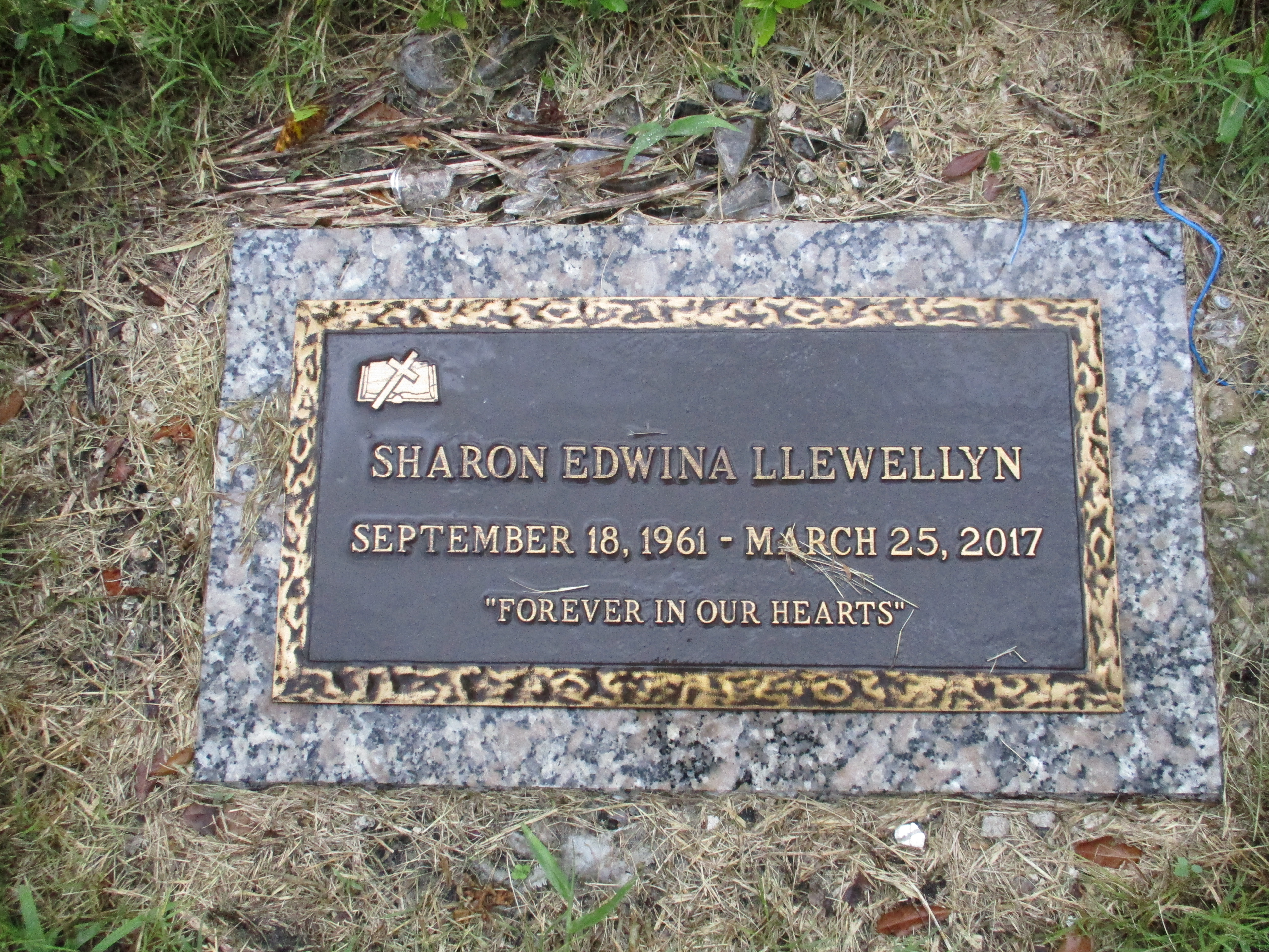 Sharon Edwina Llewellyn