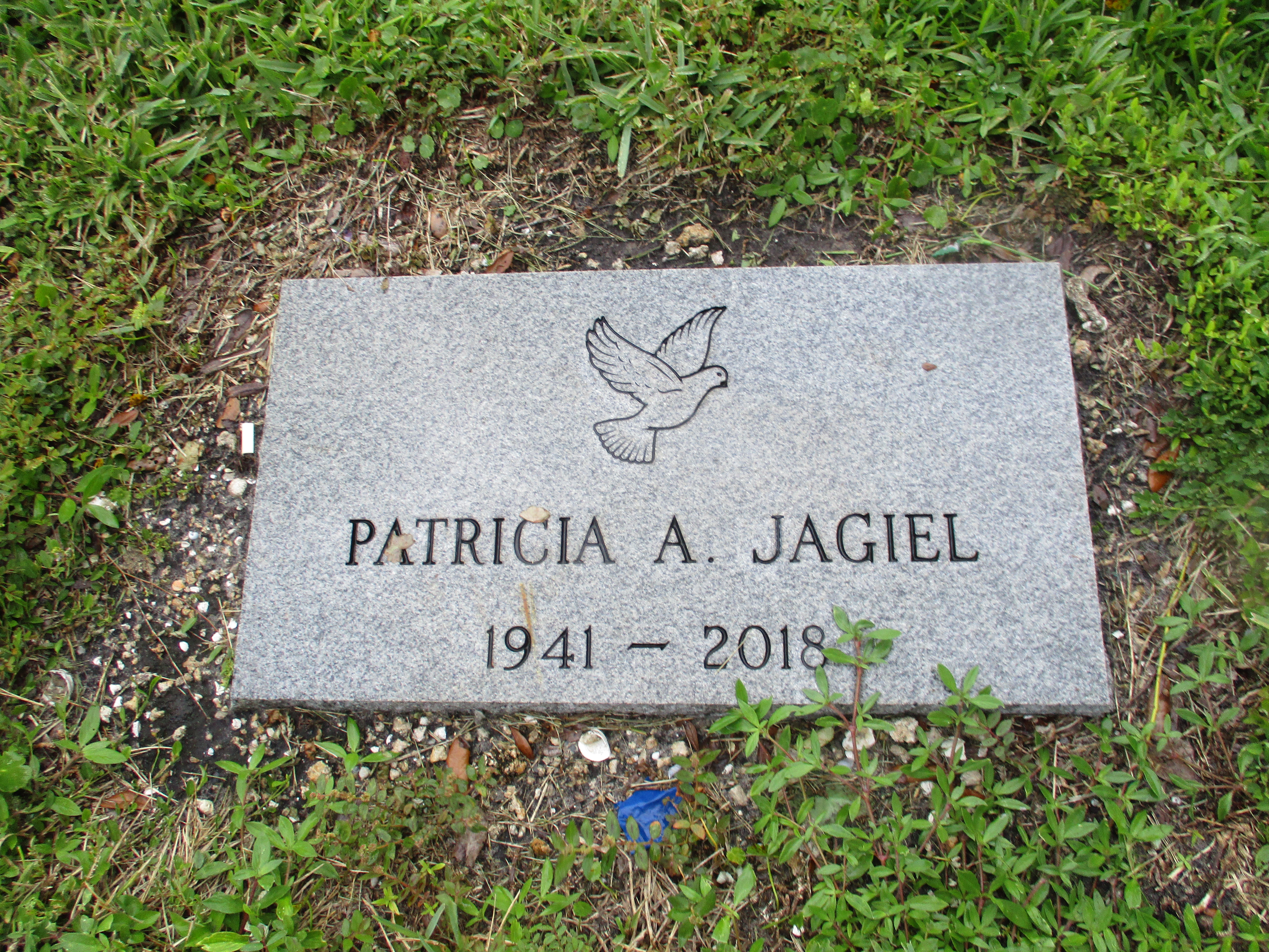Patricia A Jagiel