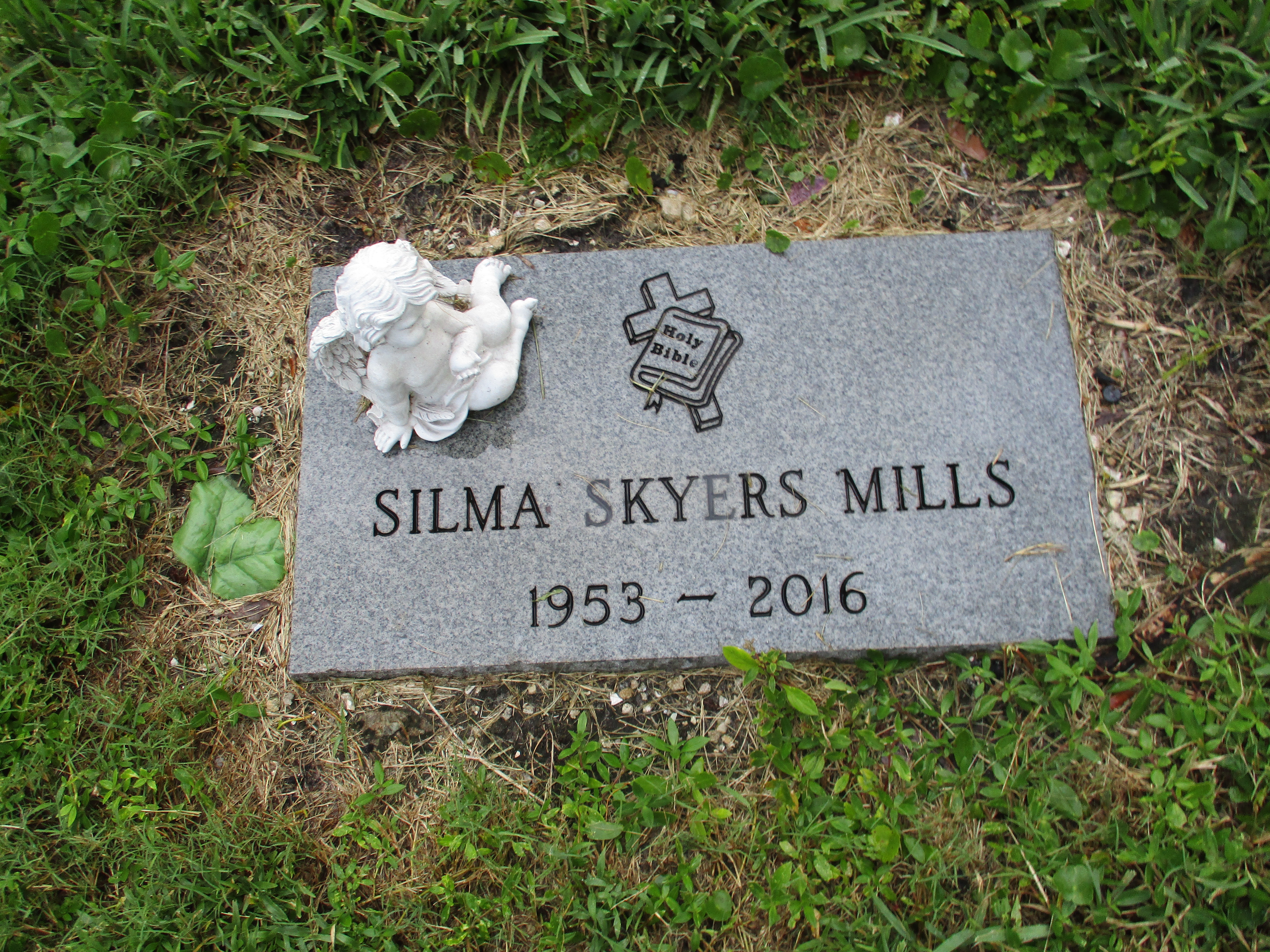 Silma Skyers Mills