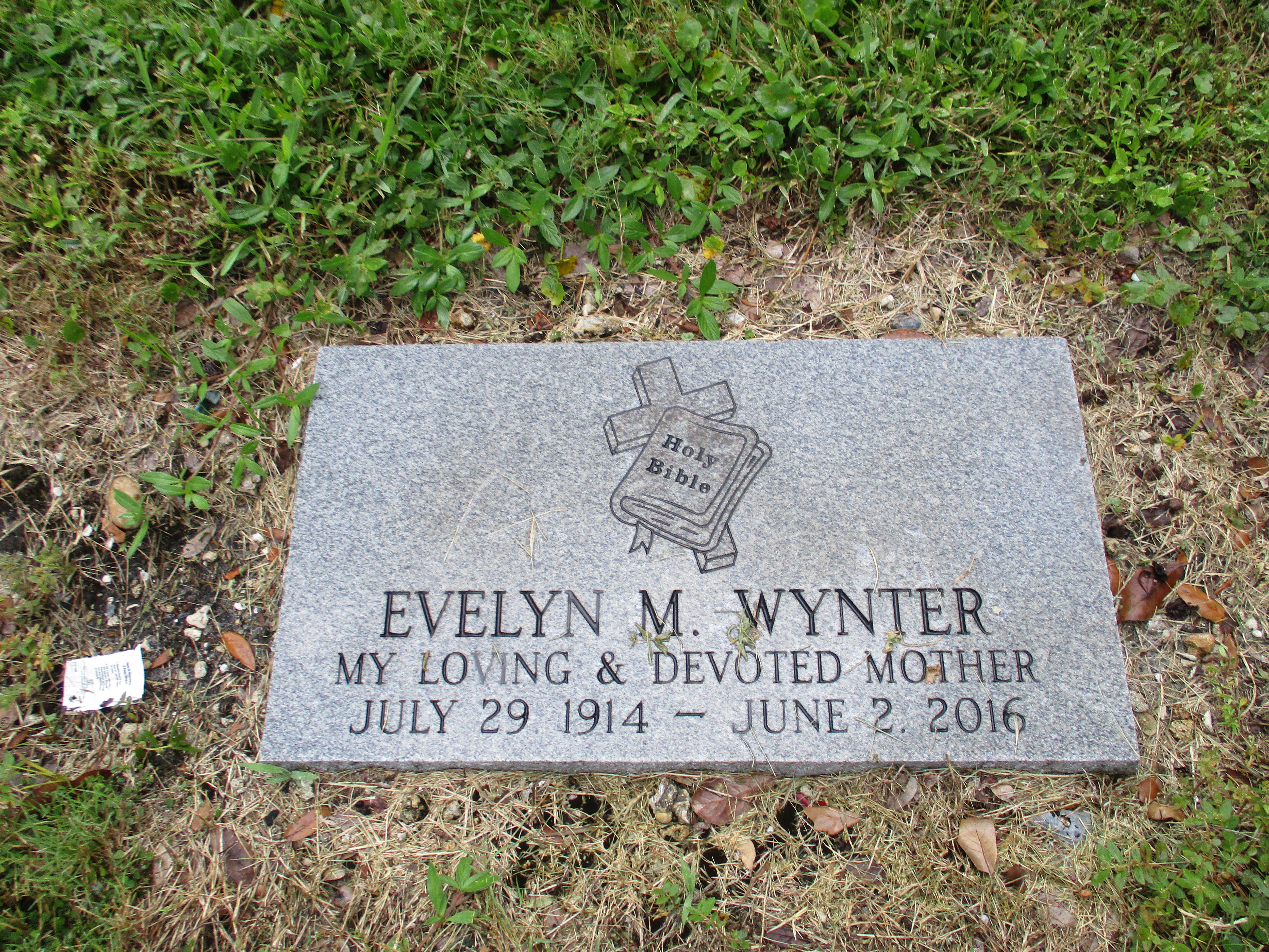 Evelyn M Wynter