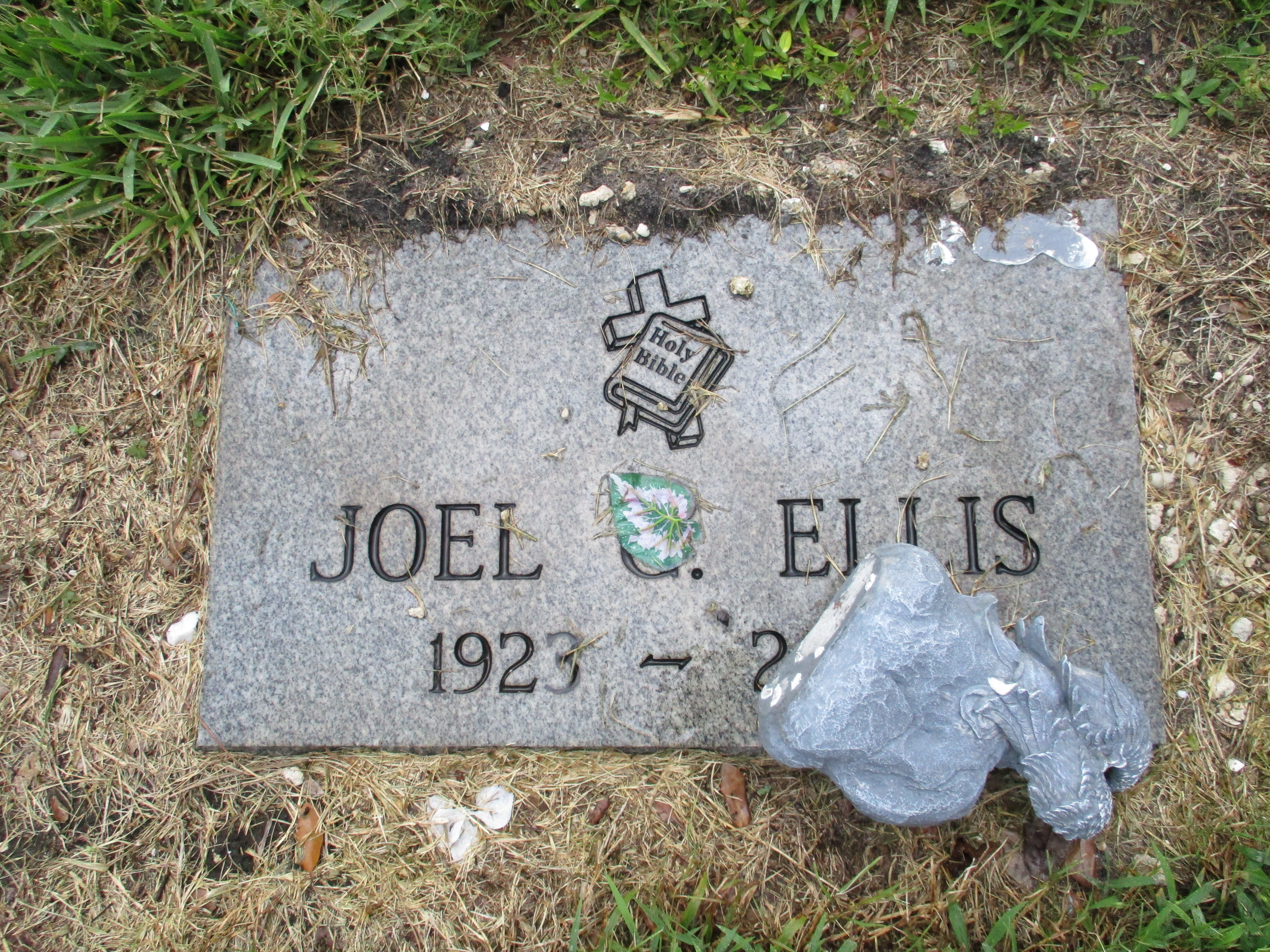 Joel C Ellis