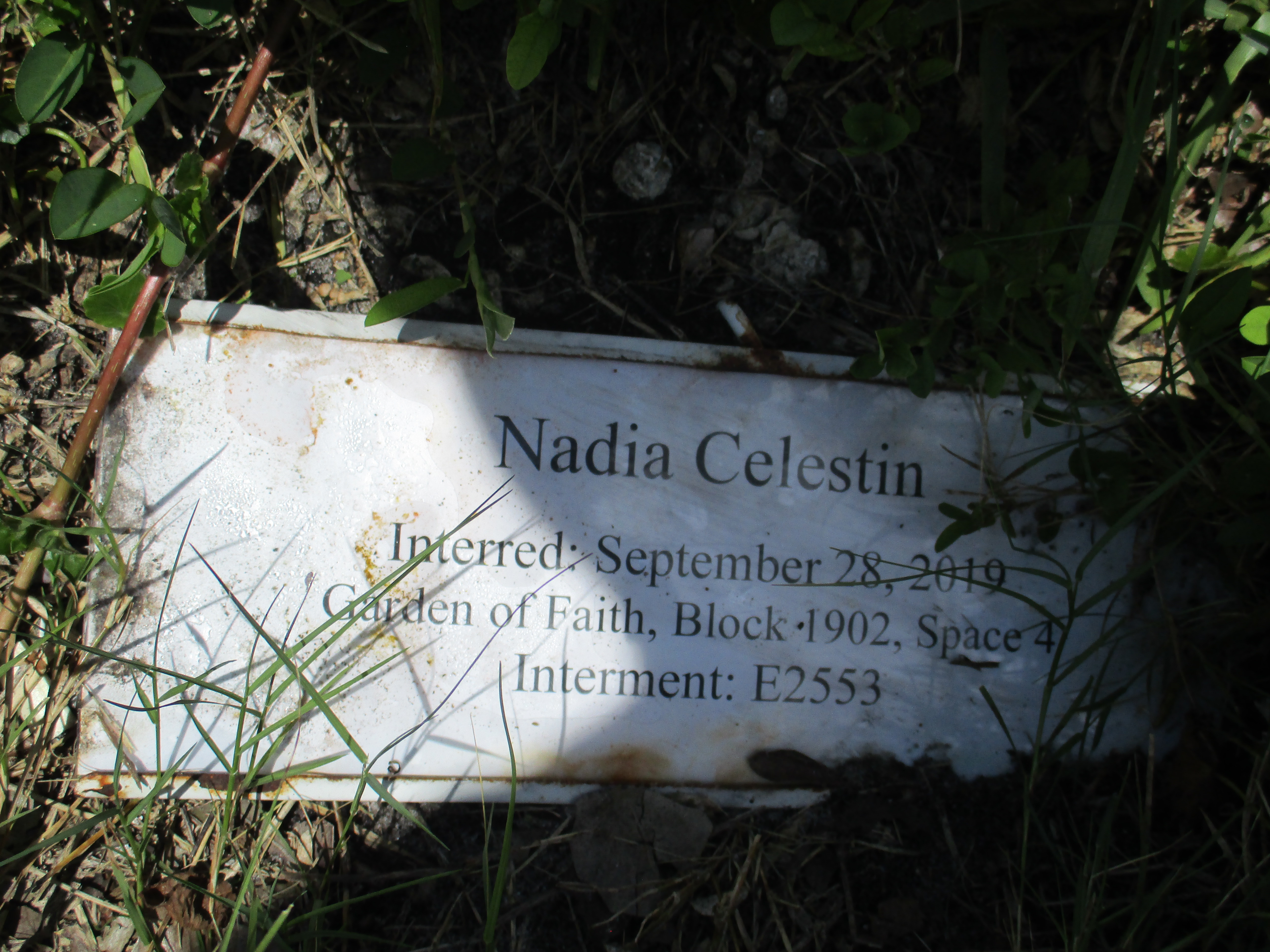 Nadia Celestin