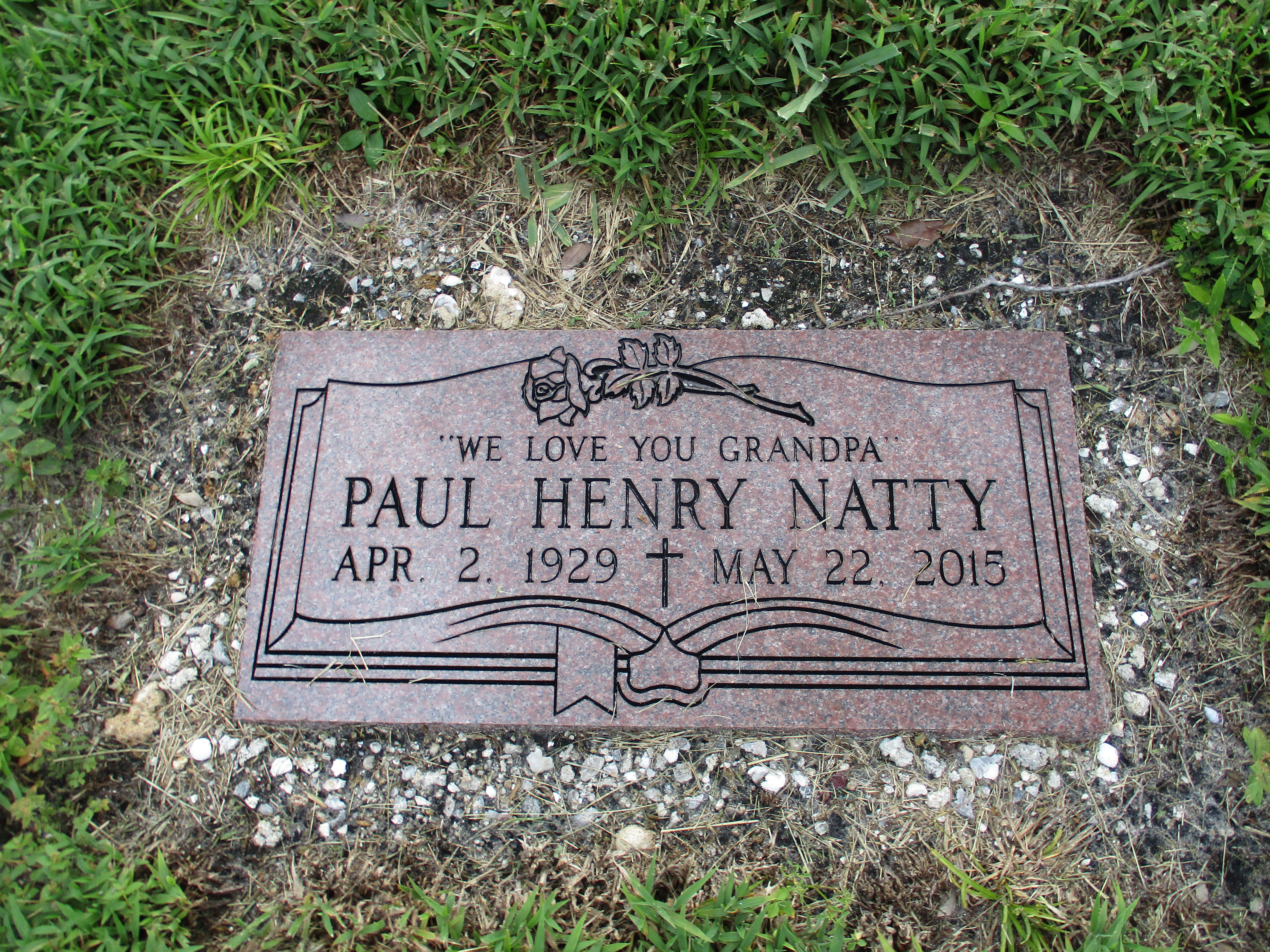 Paul Henry Natty