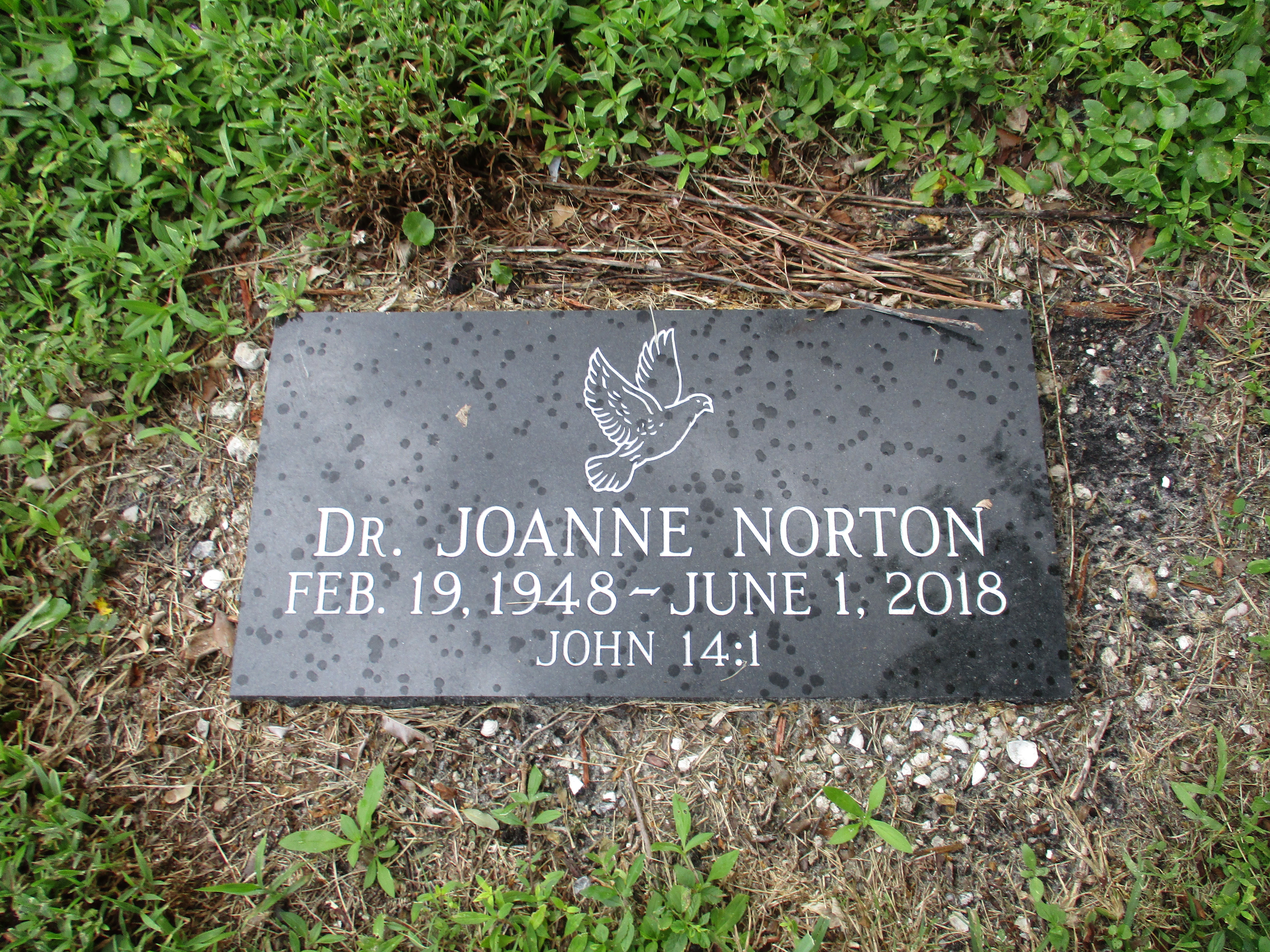 Dr Joanne Norton