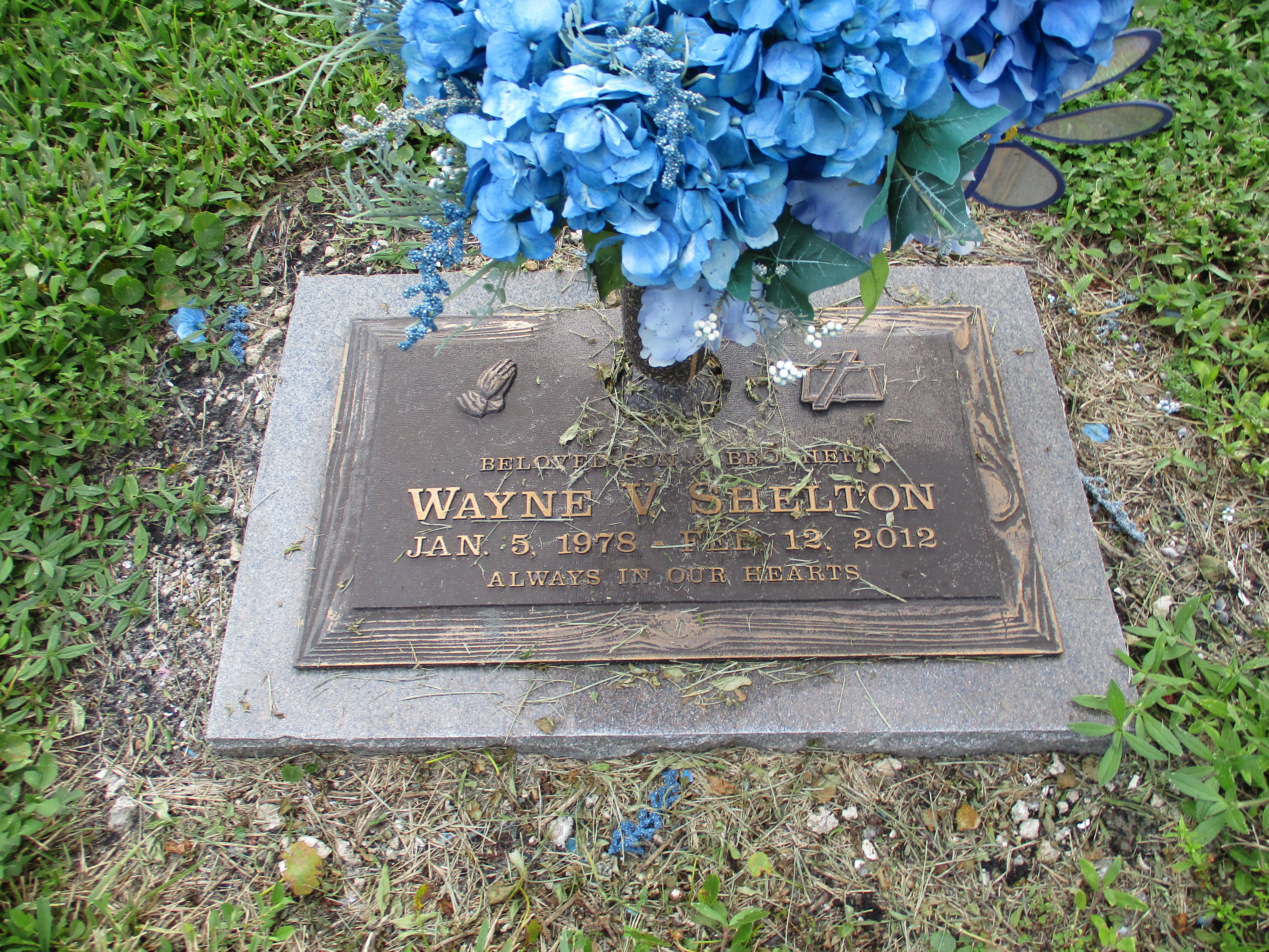 Wayne V Shelton