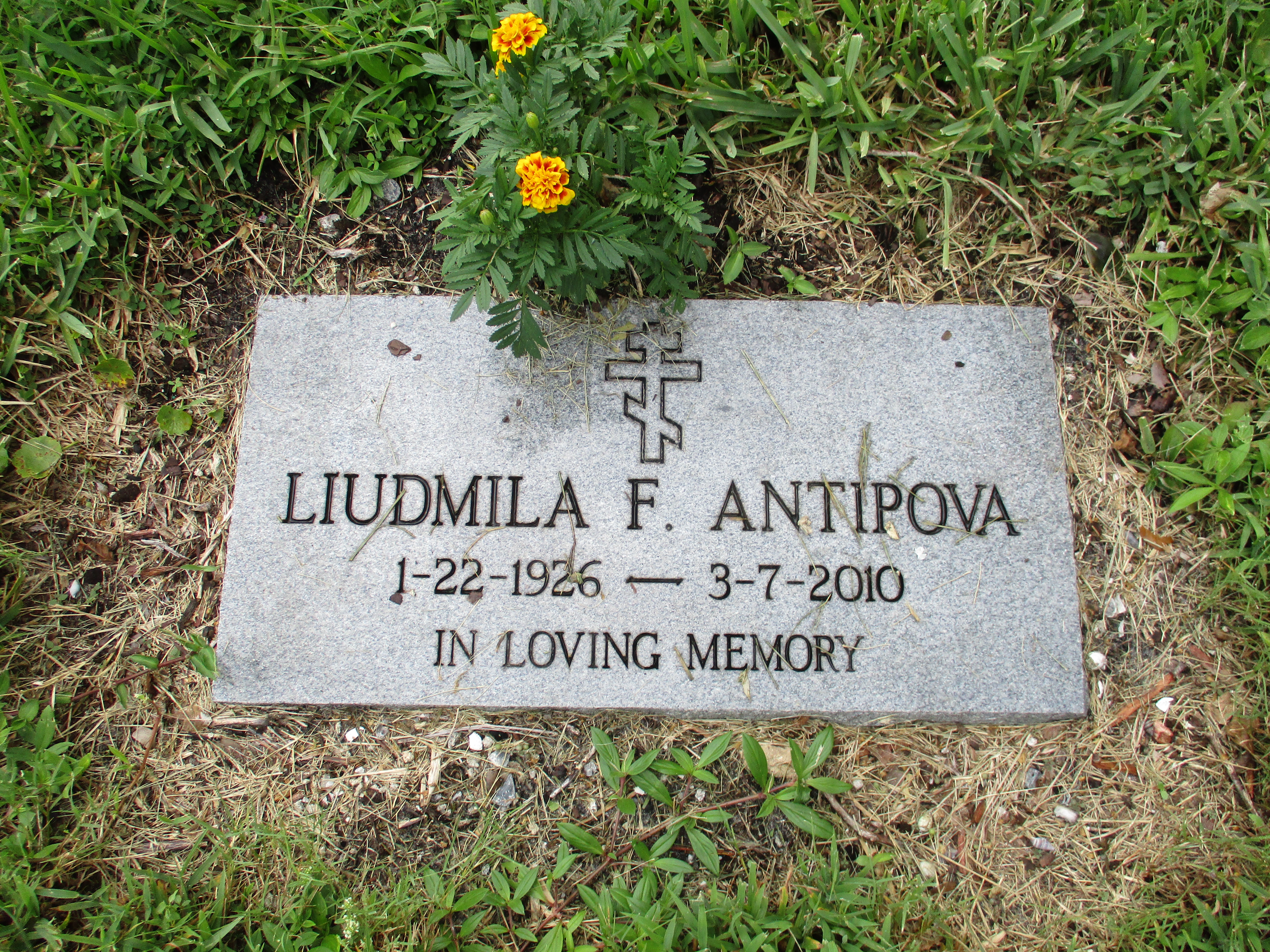 Liudmila F Antipova