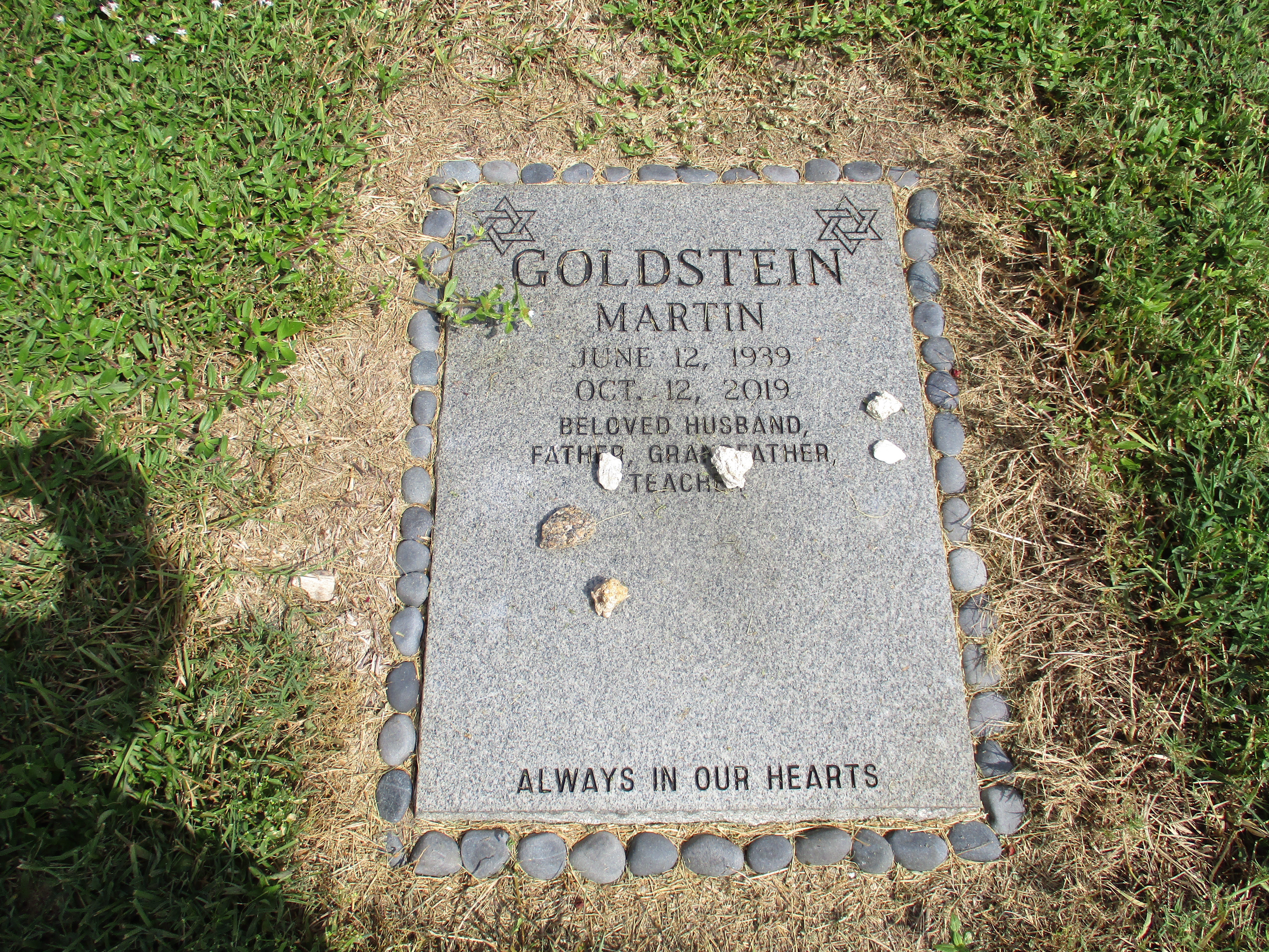 Martin Goldstein