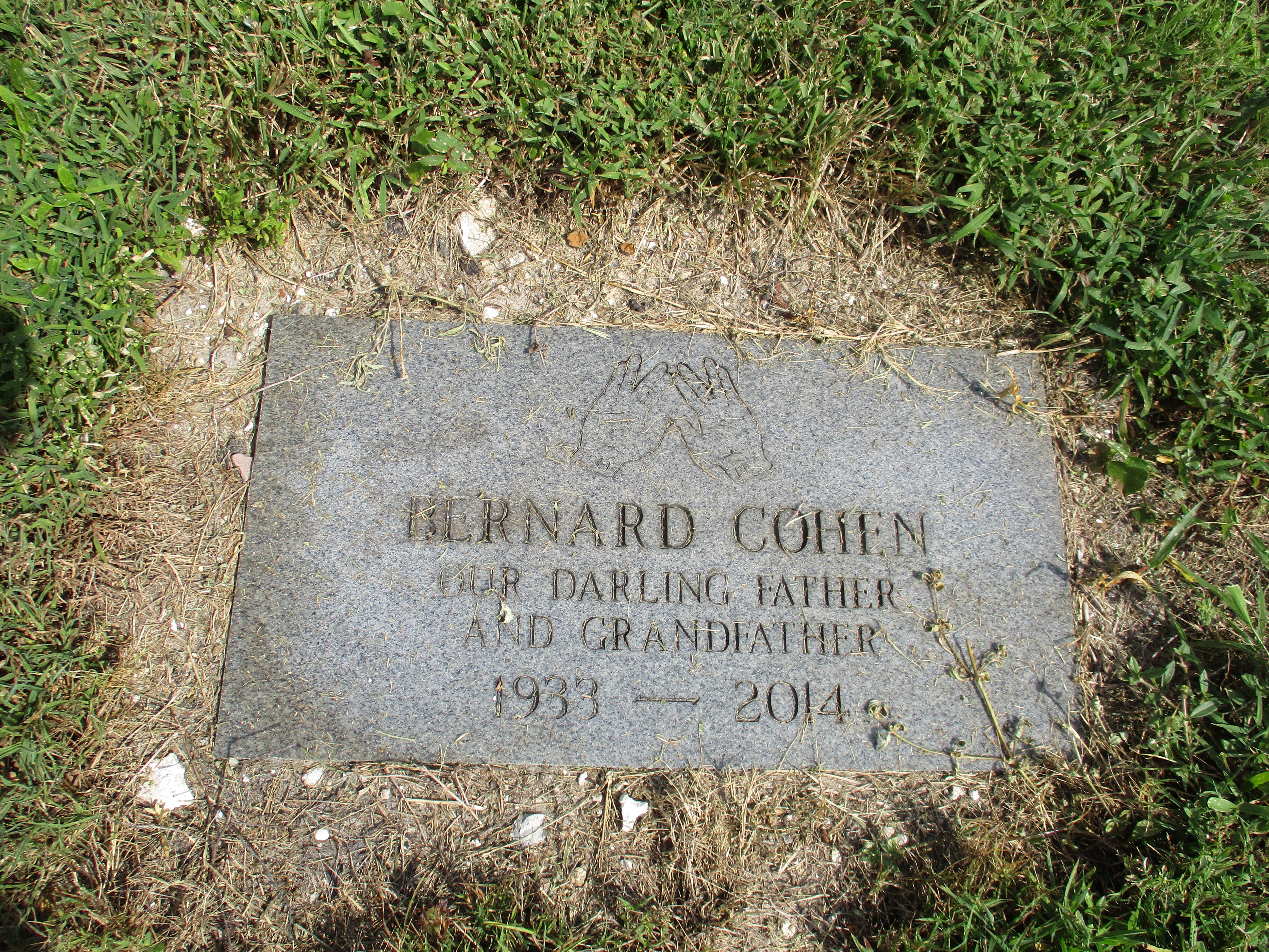 Bernard Cohen