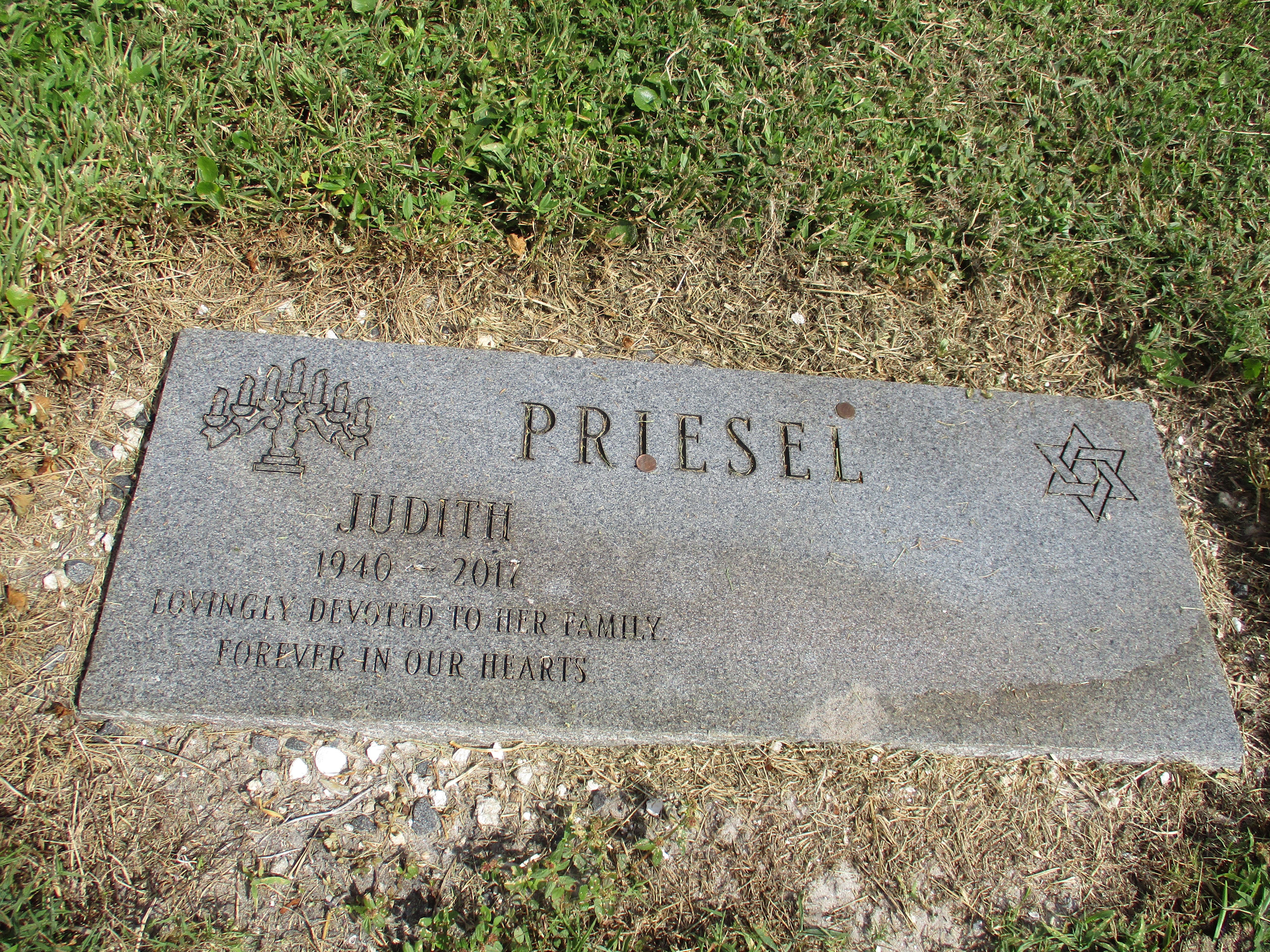 Judith Priesel