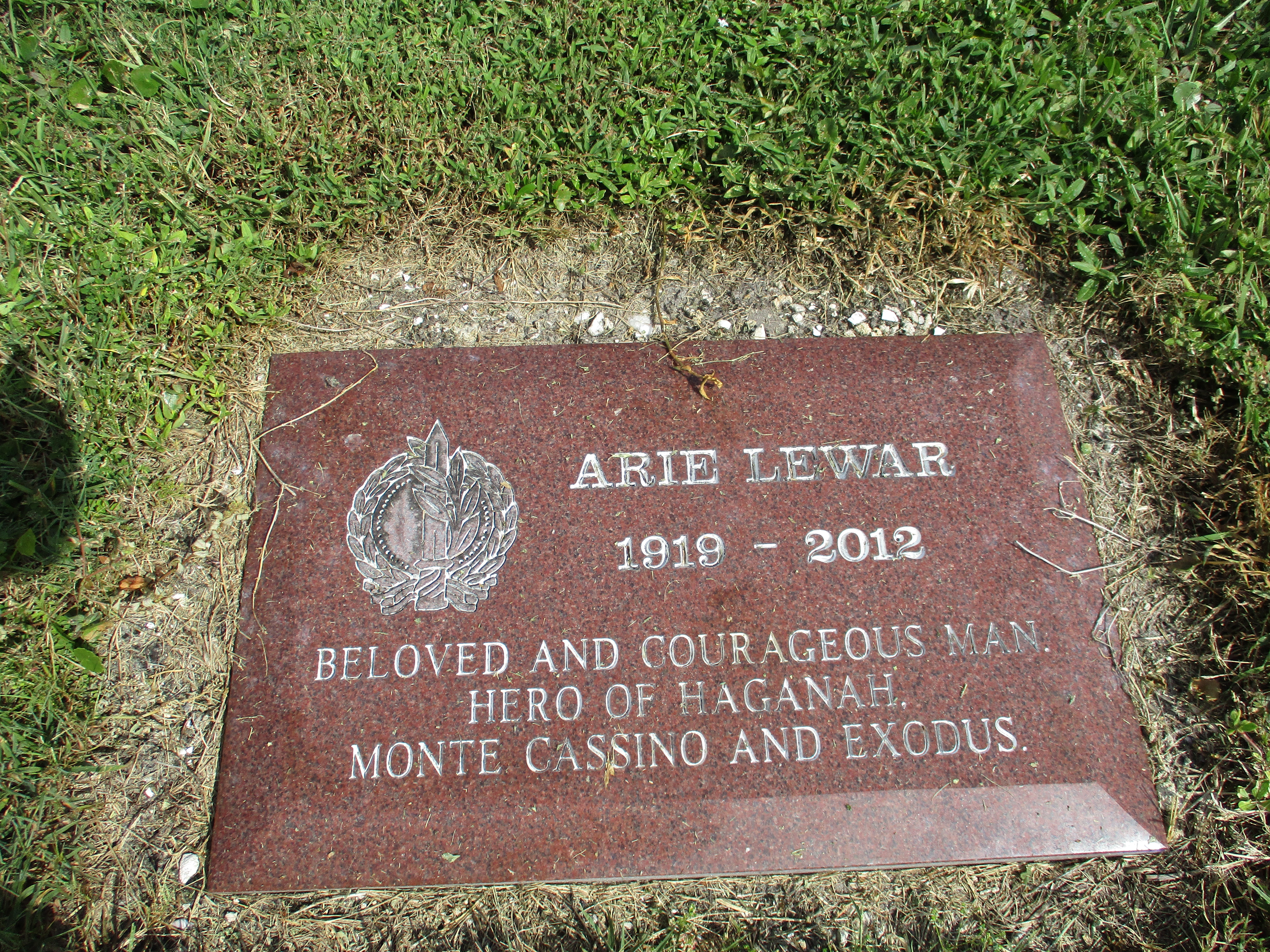 Arie Lewar