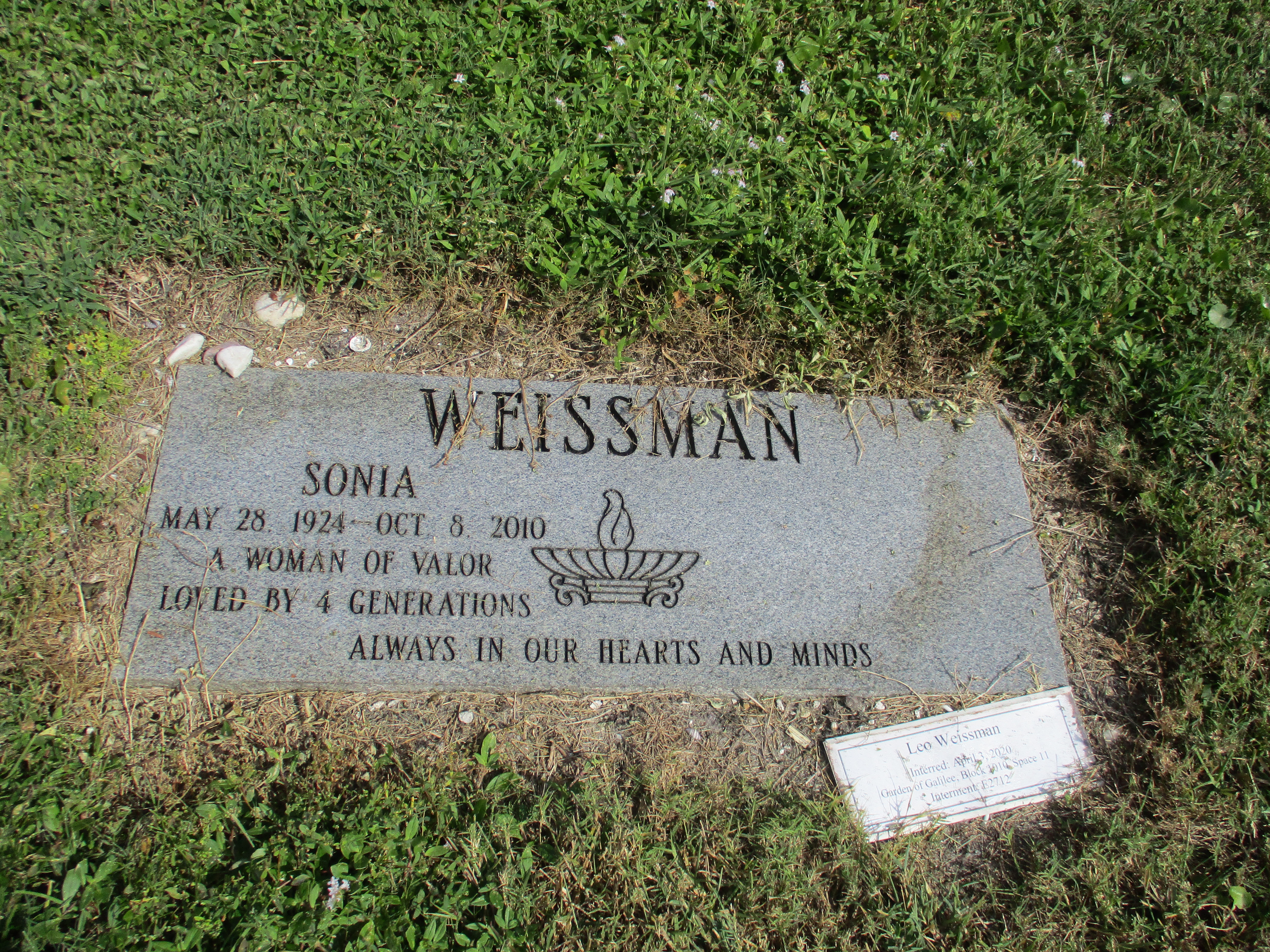 Sonia Weissman