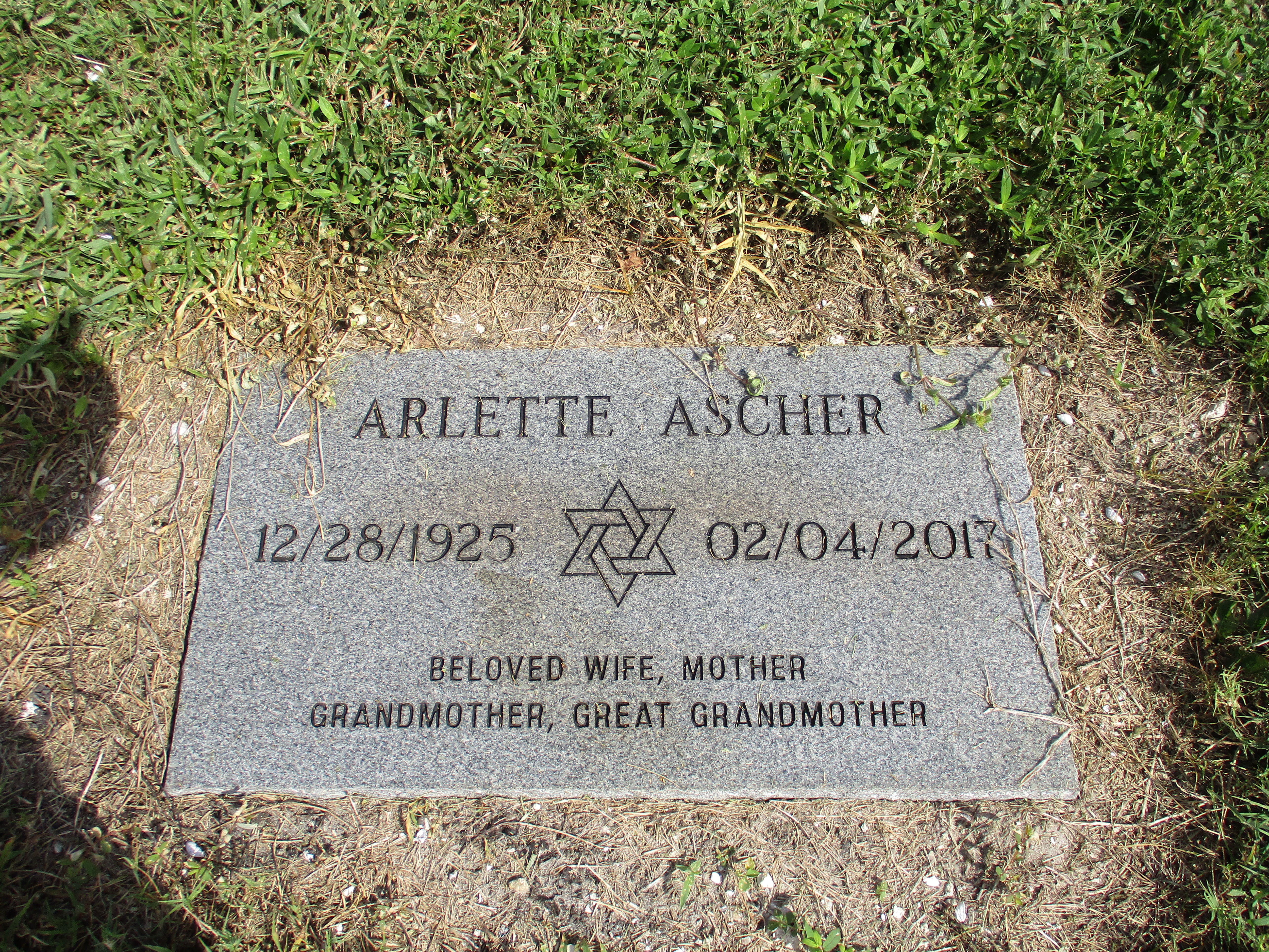 Arlette Ascher