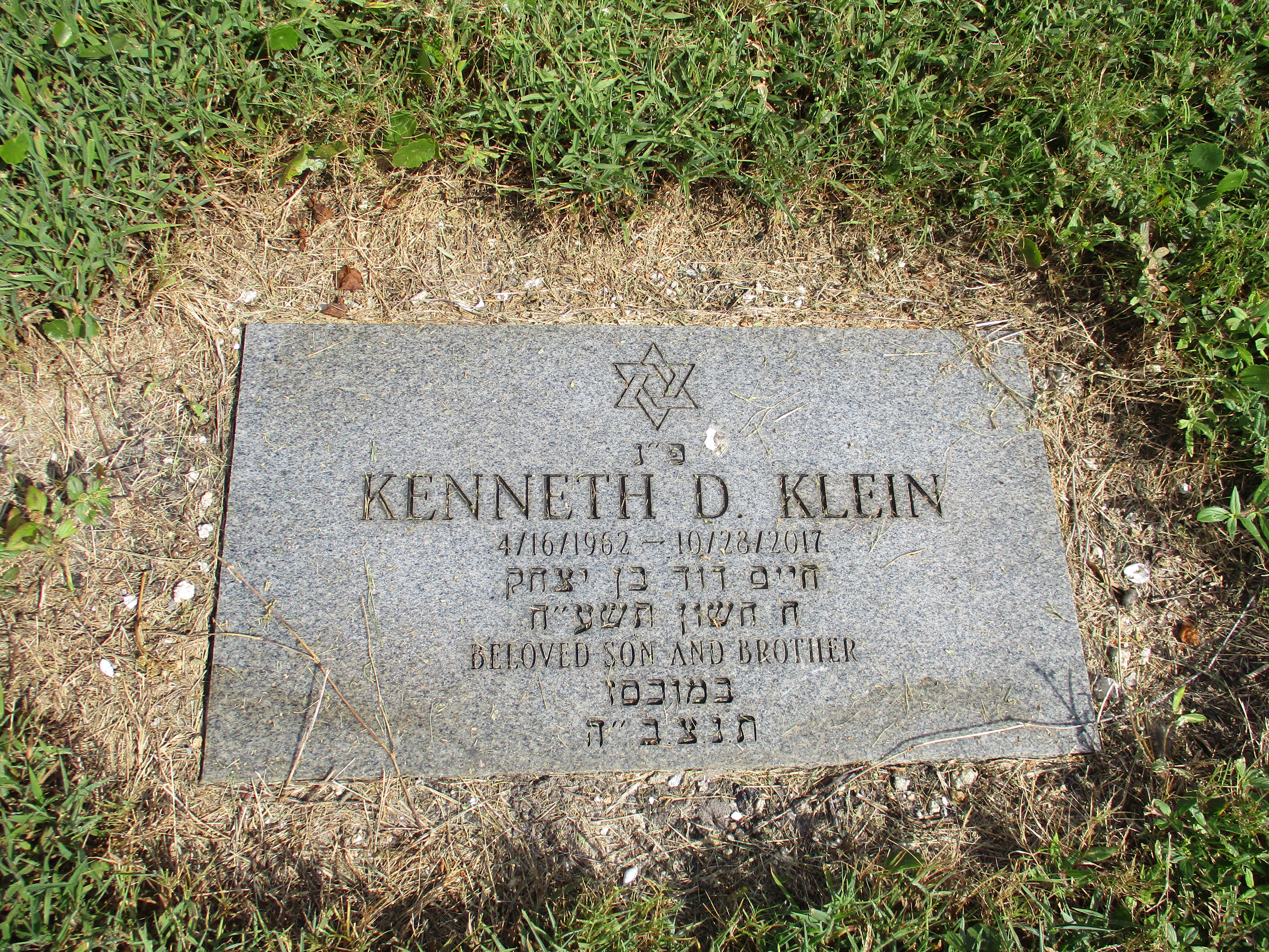 Kenneth D Klein