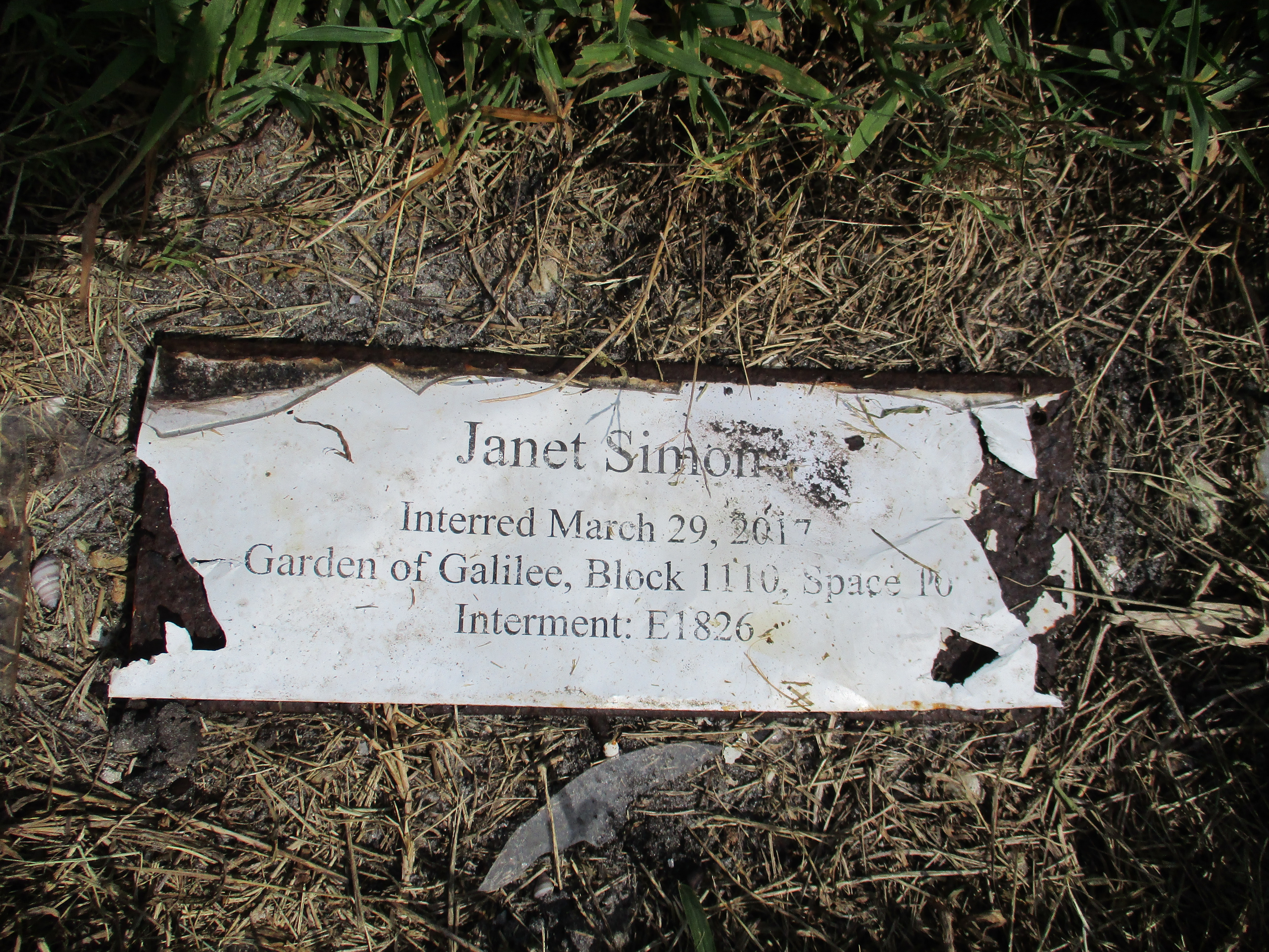 Janet Simon
