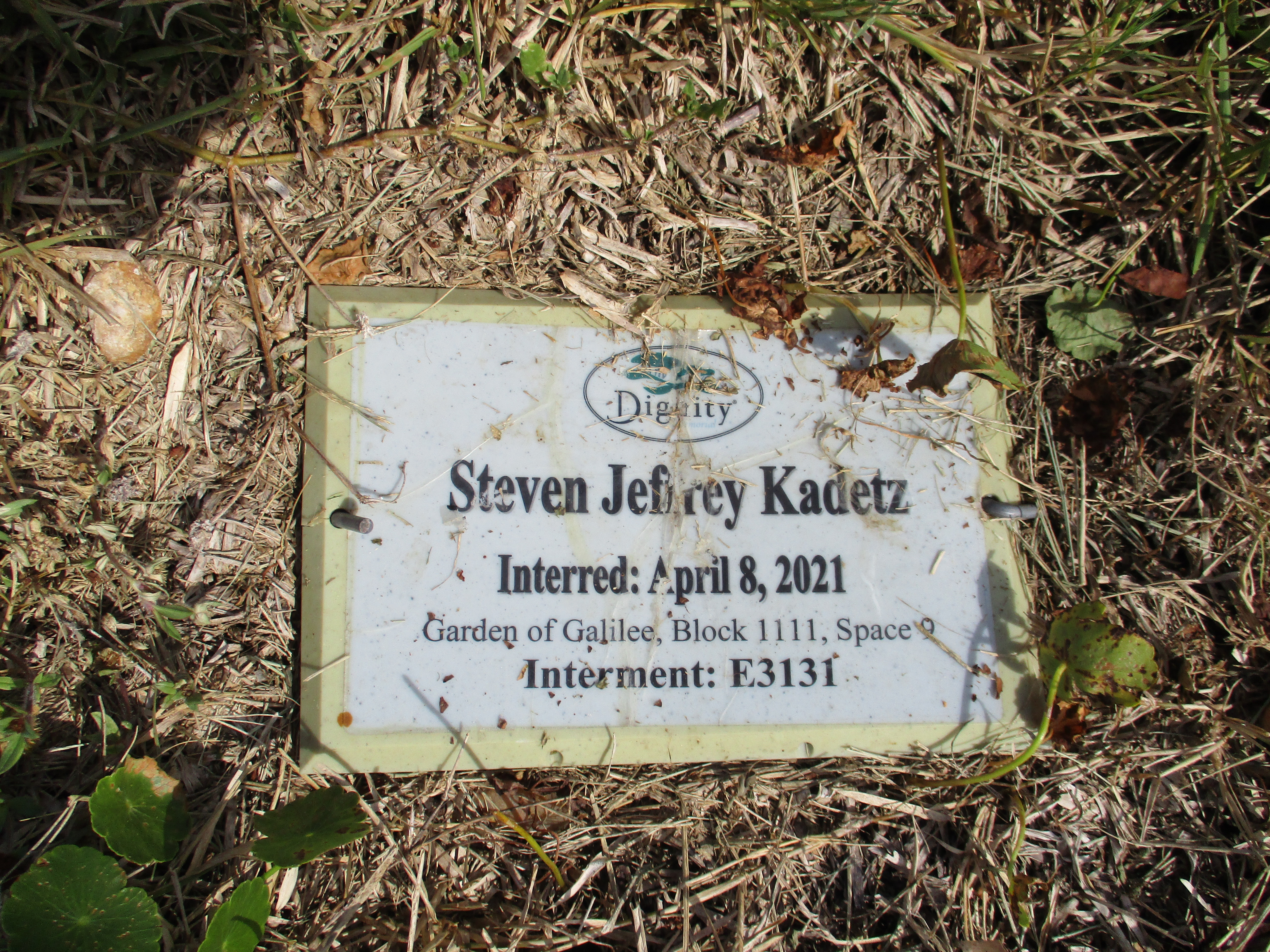Steven Jeffrey Kadetz