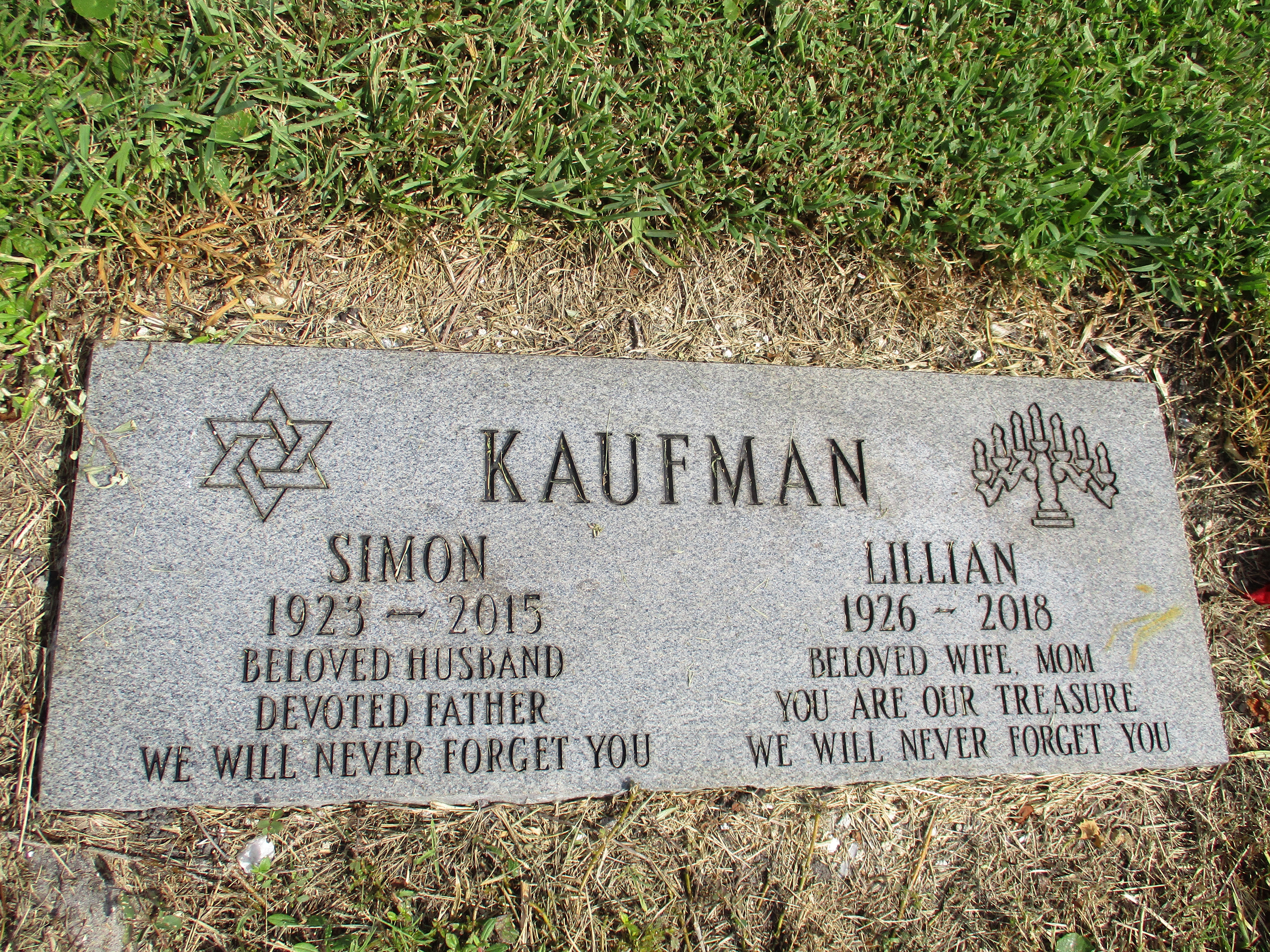 Simon Kaufman