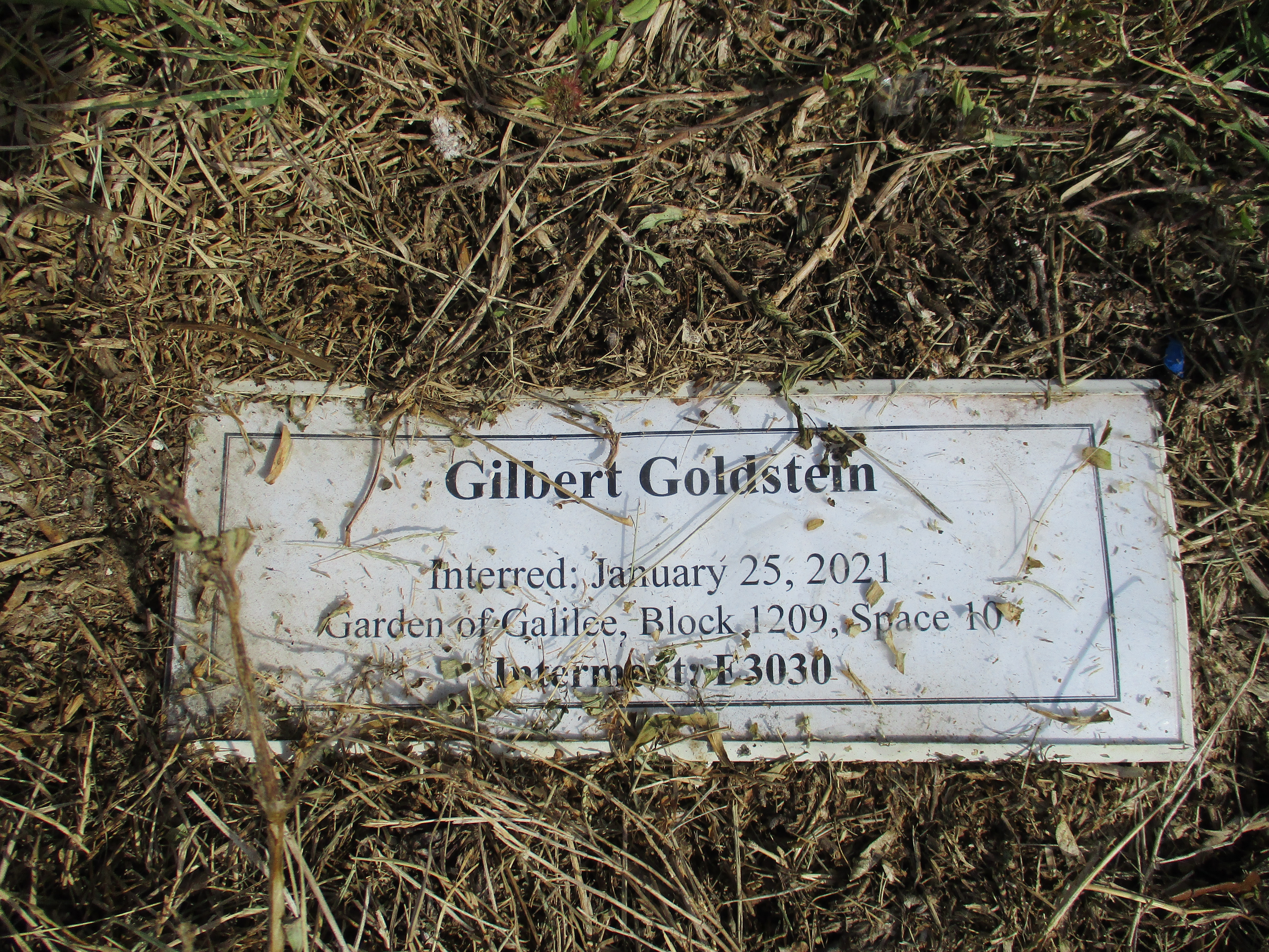 Gilbert Goldstein