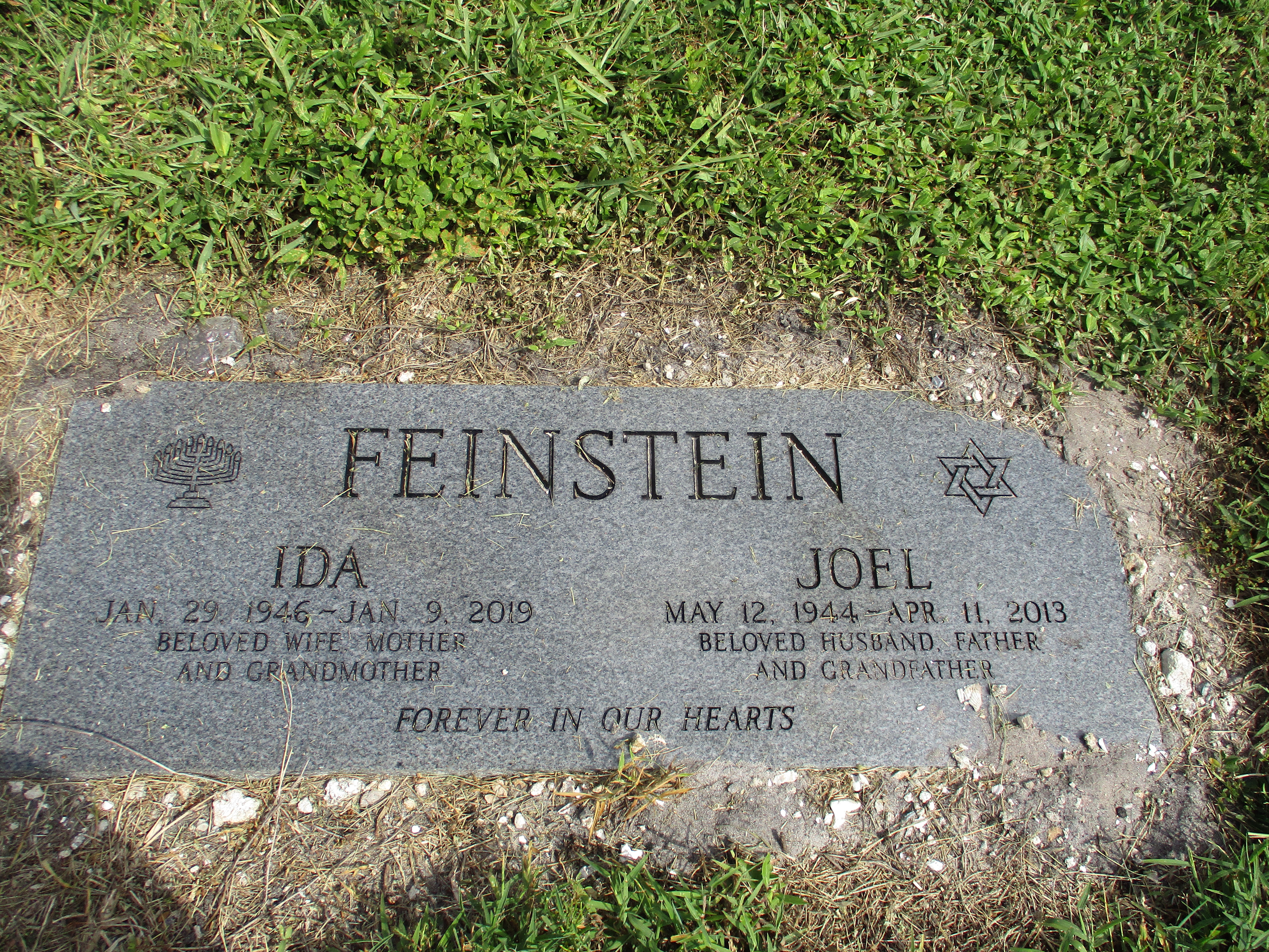 Ida Feinstein