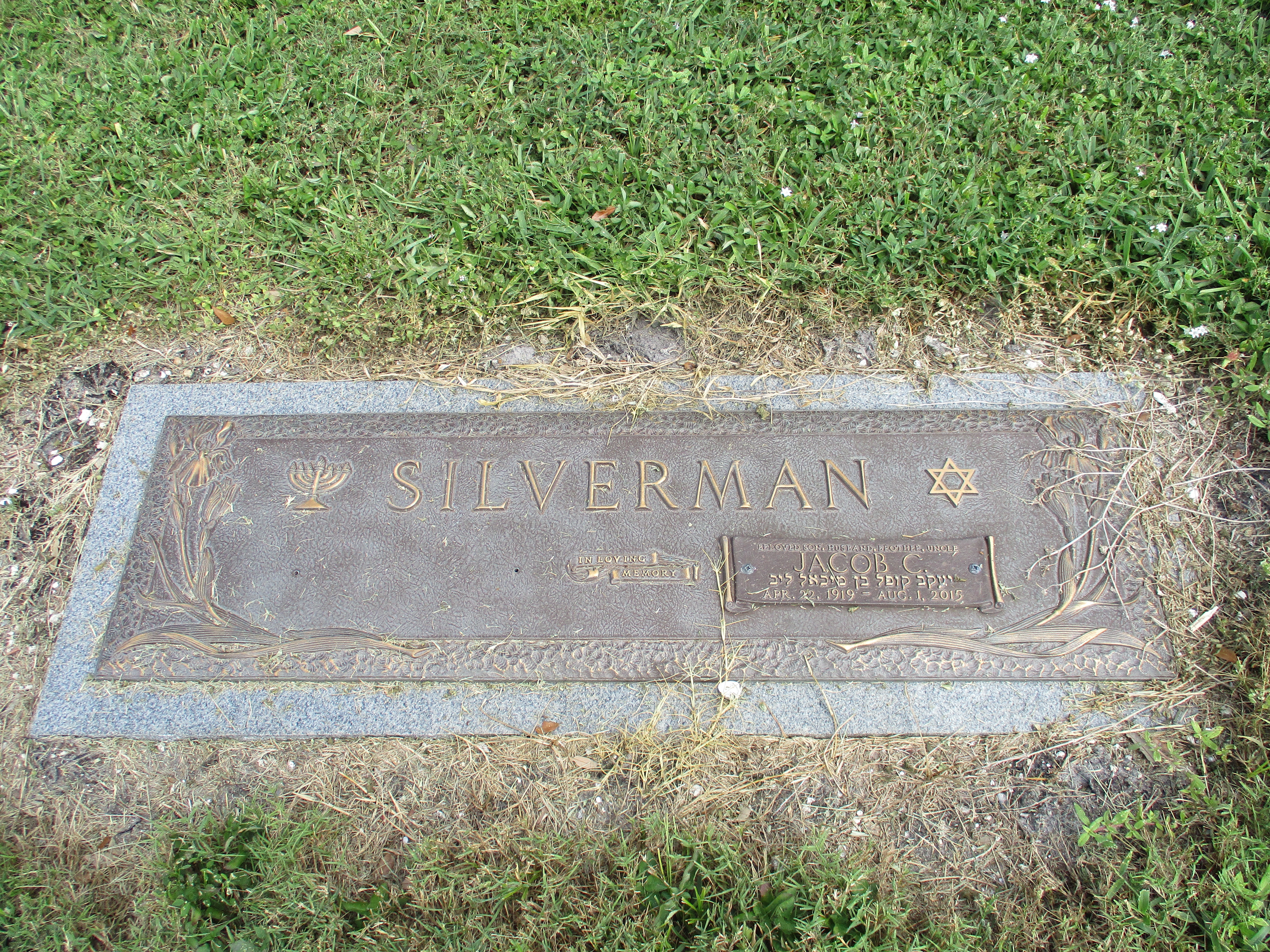 Jacob C Silverman