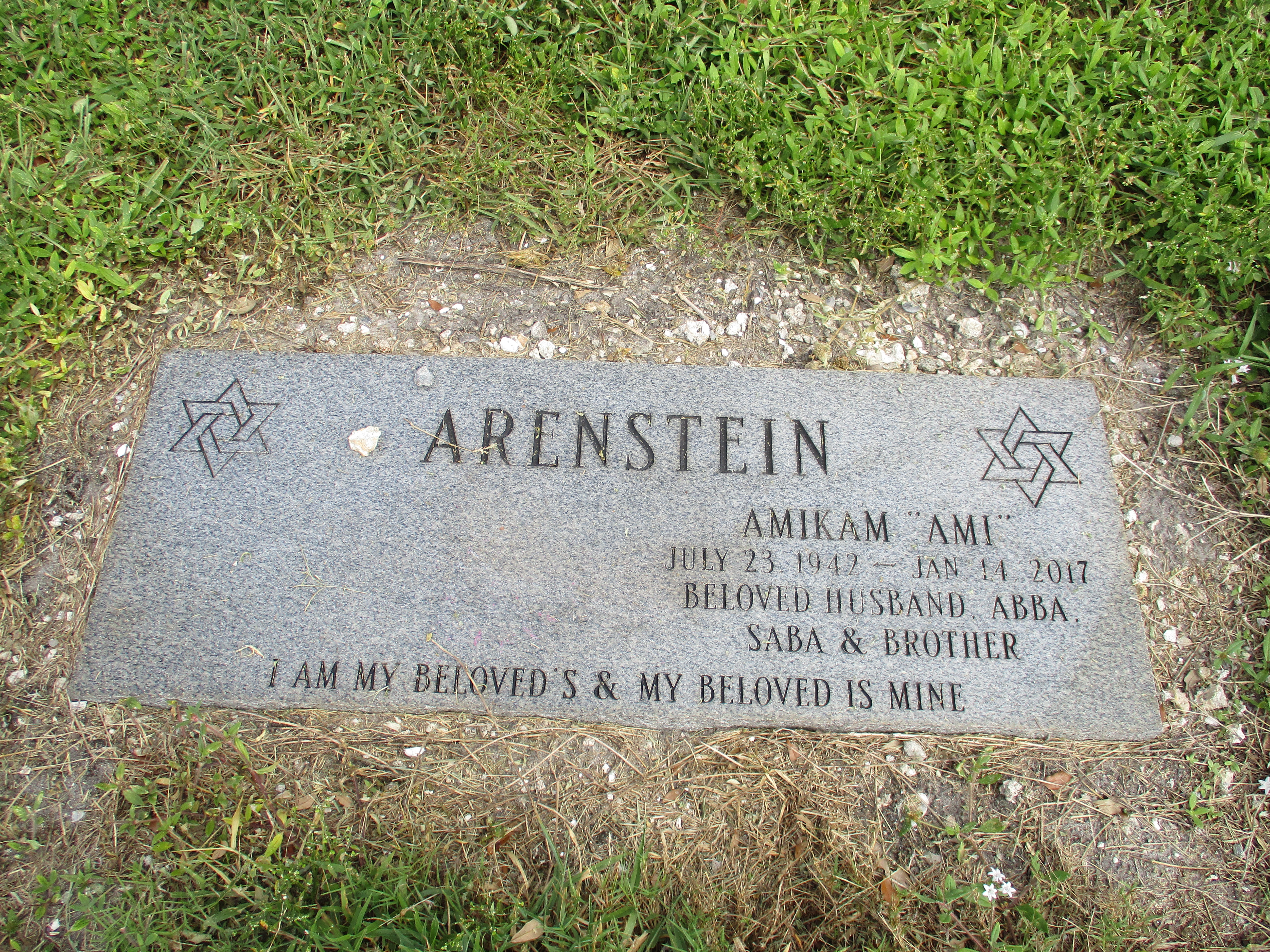Amikam "Ami" Arenstein