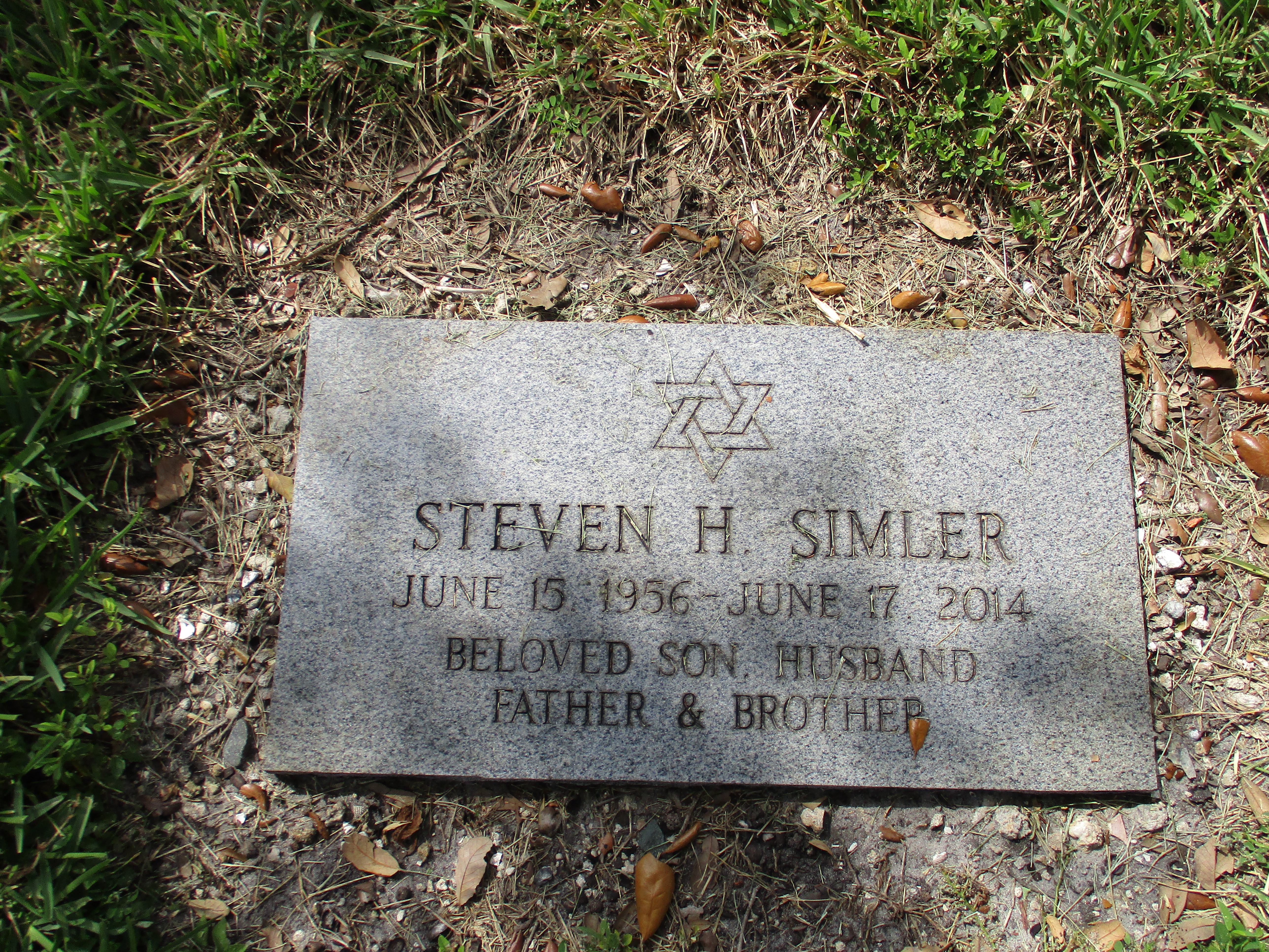 Steven H Simler