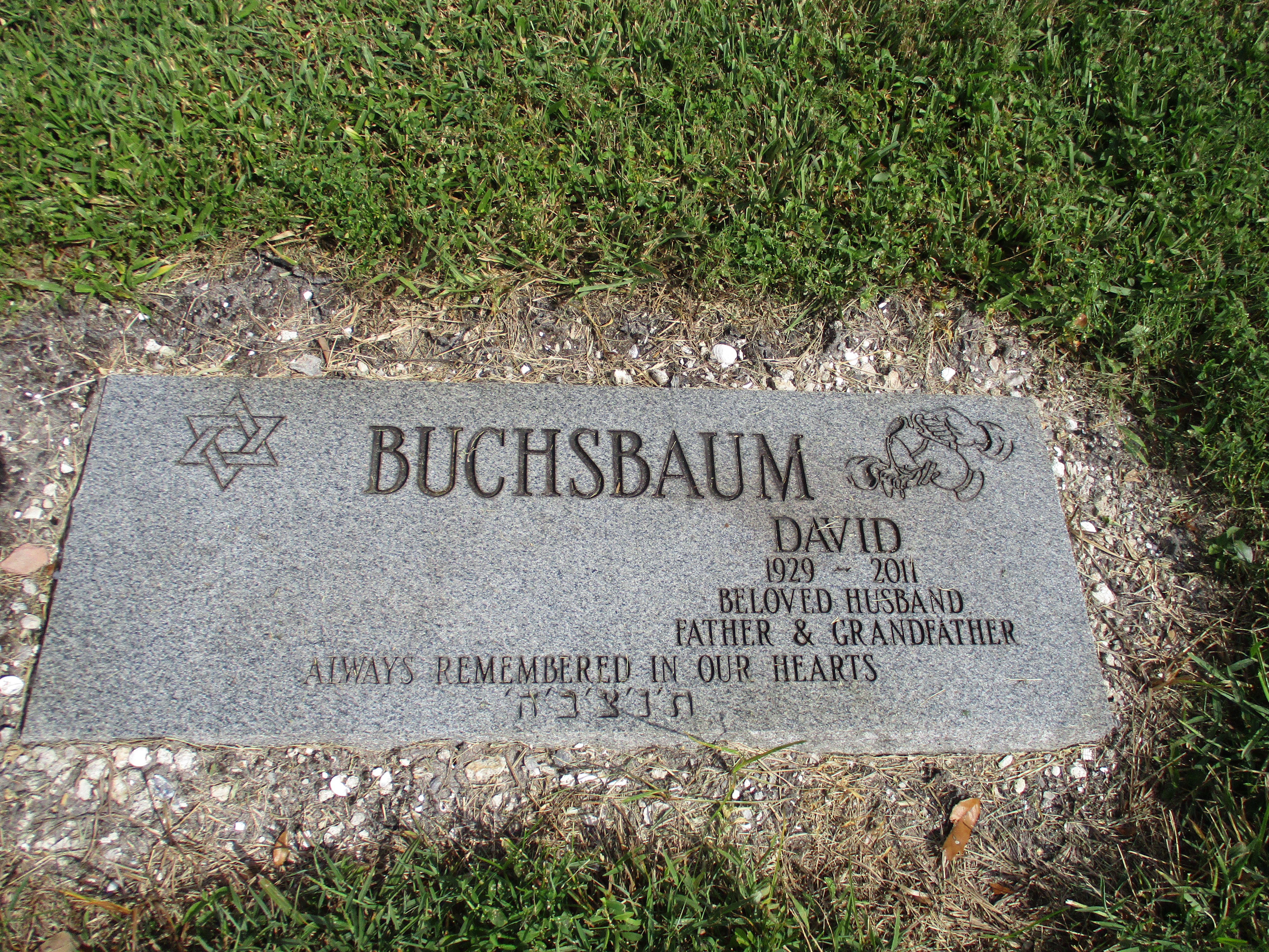 David Buchsbaum