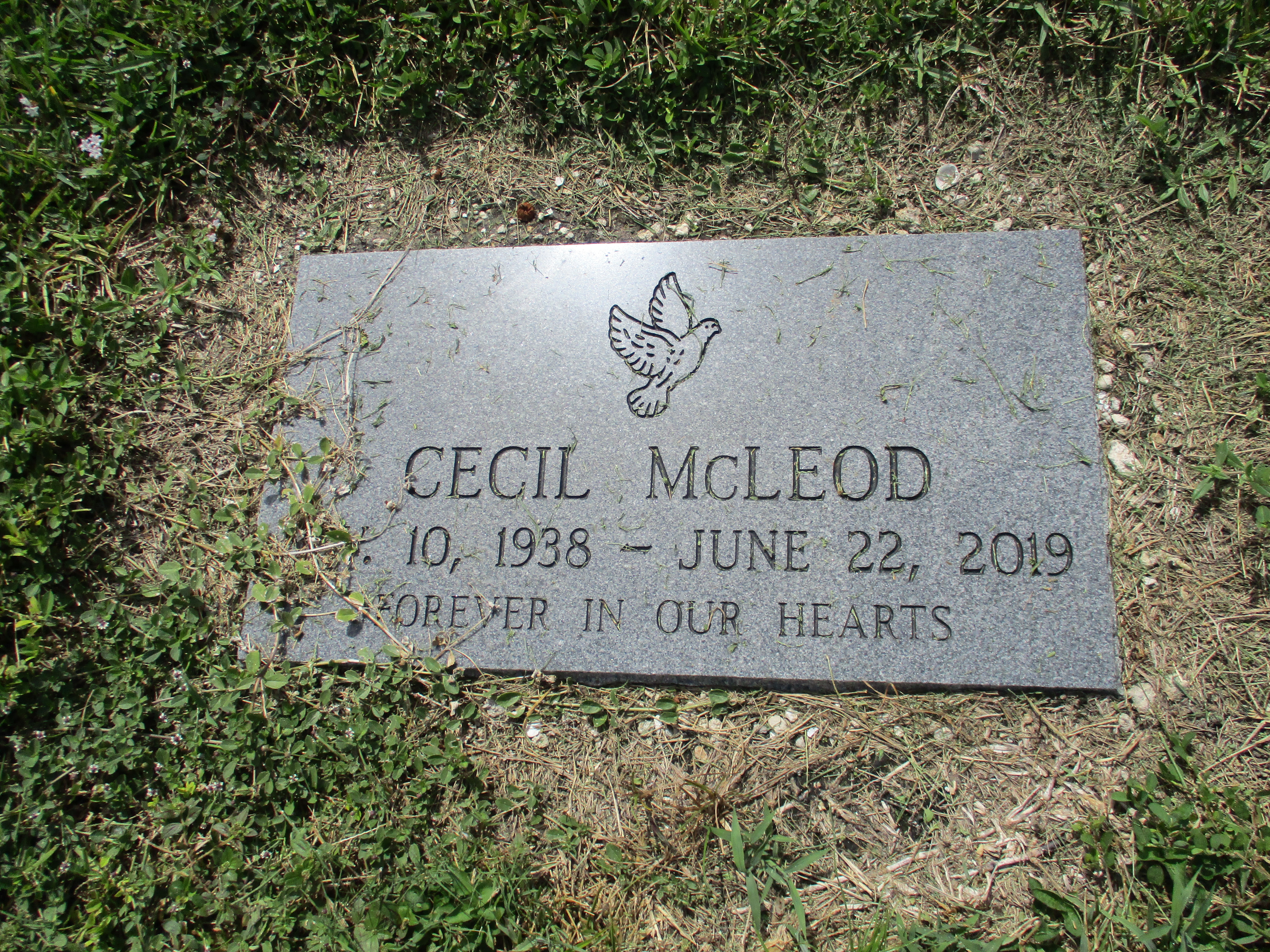 Cecil McLeod