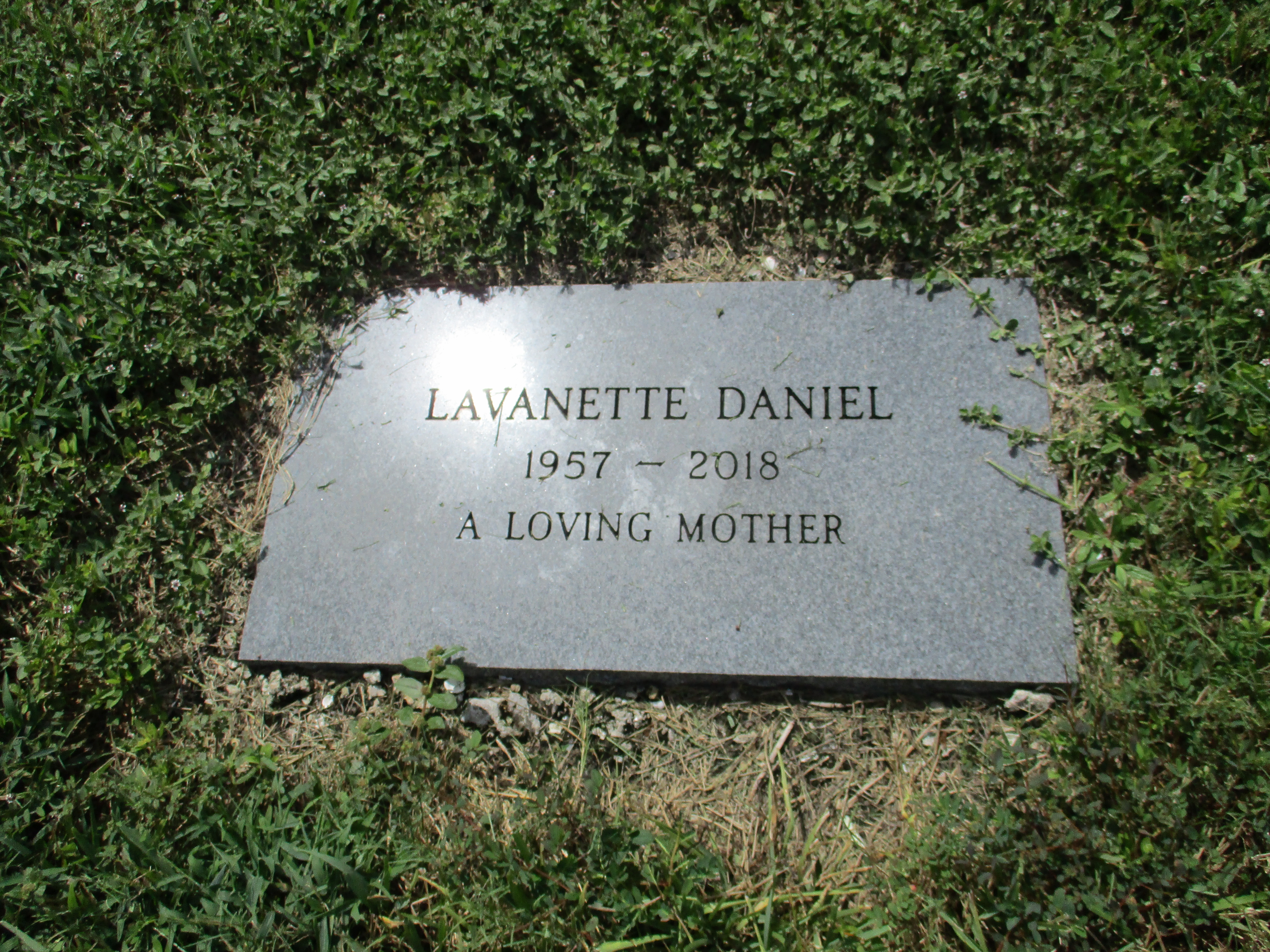 Lavanette Daniel