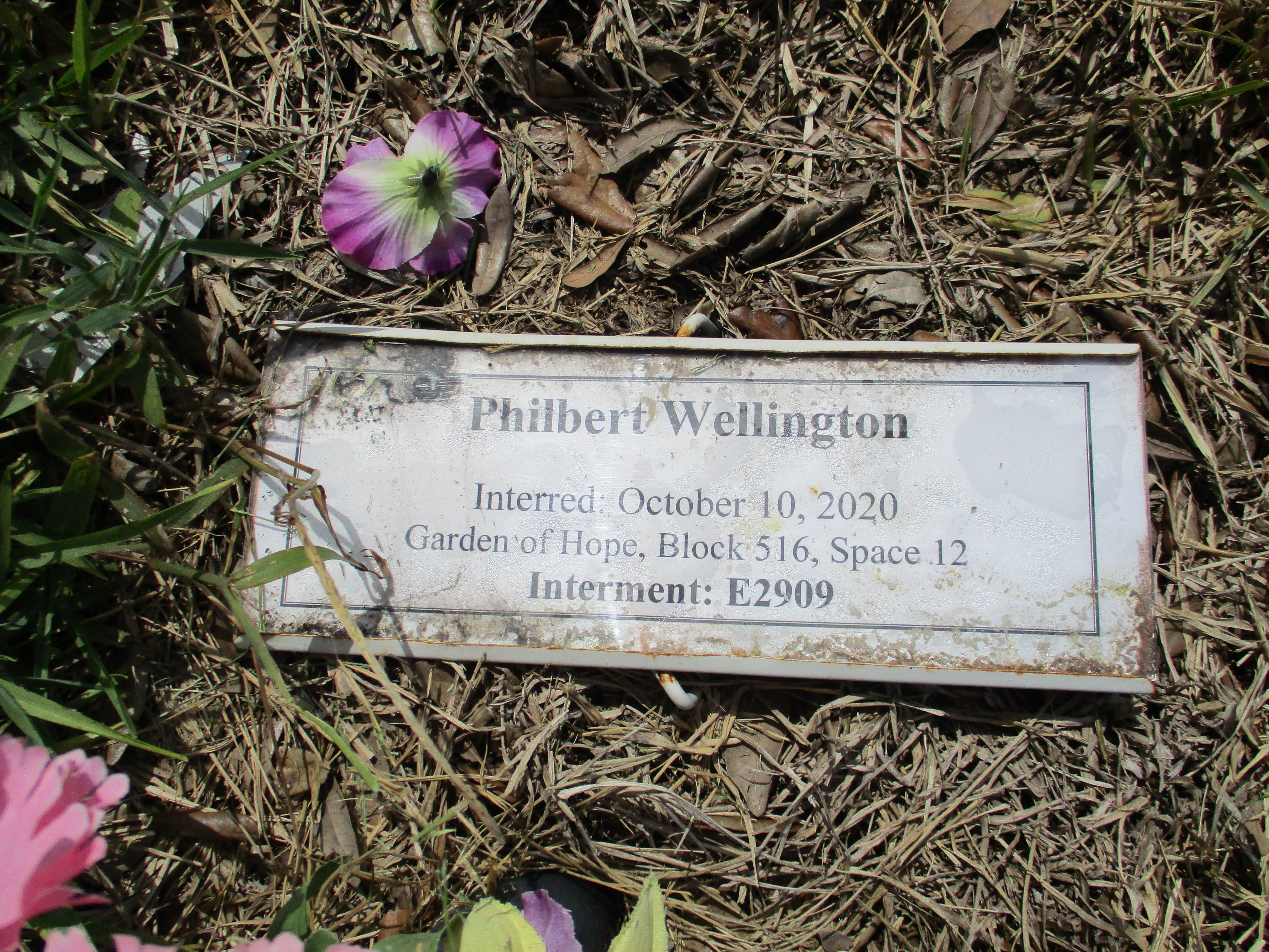 Philbert Wellington