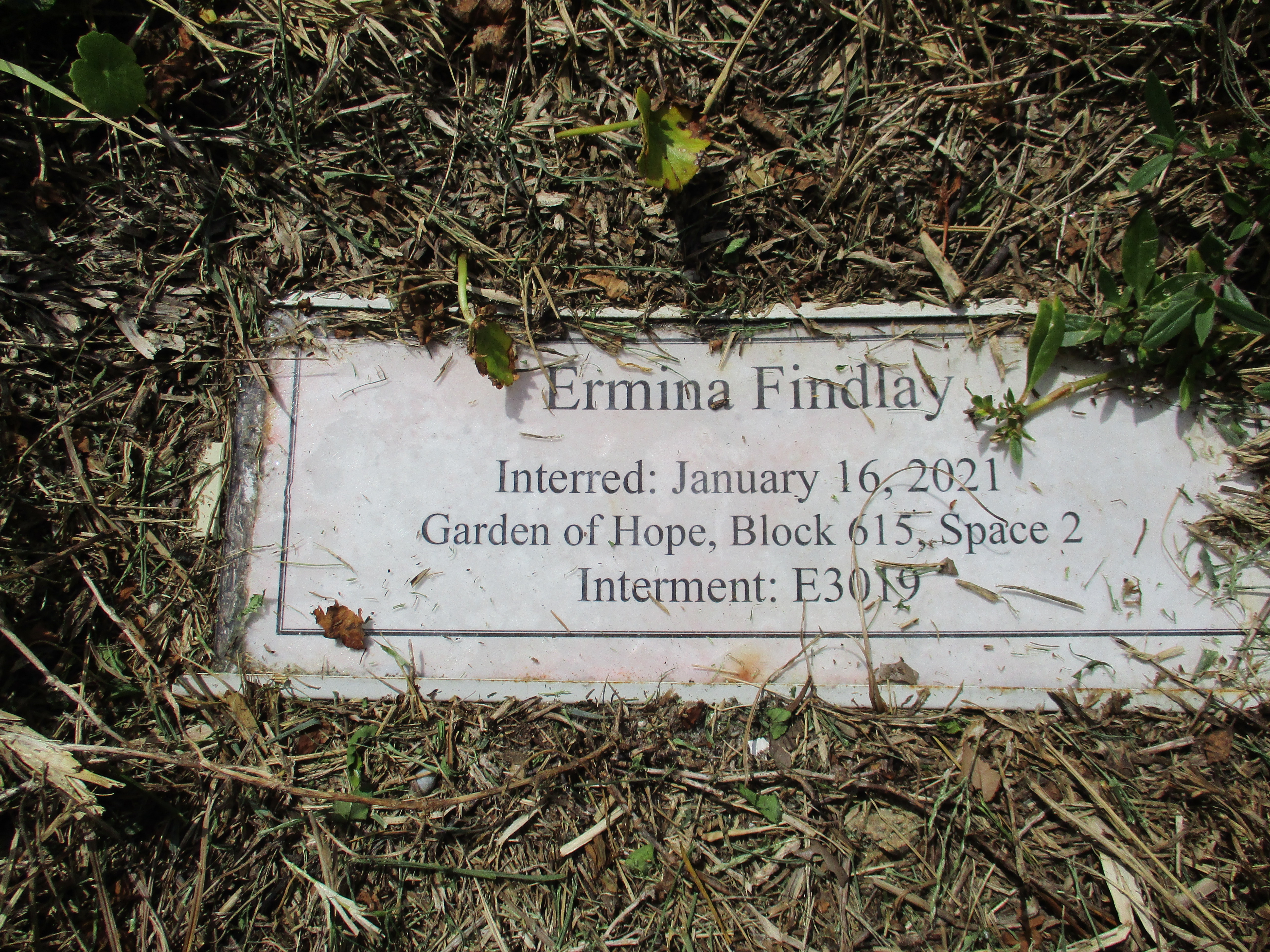 Ermina Findlay