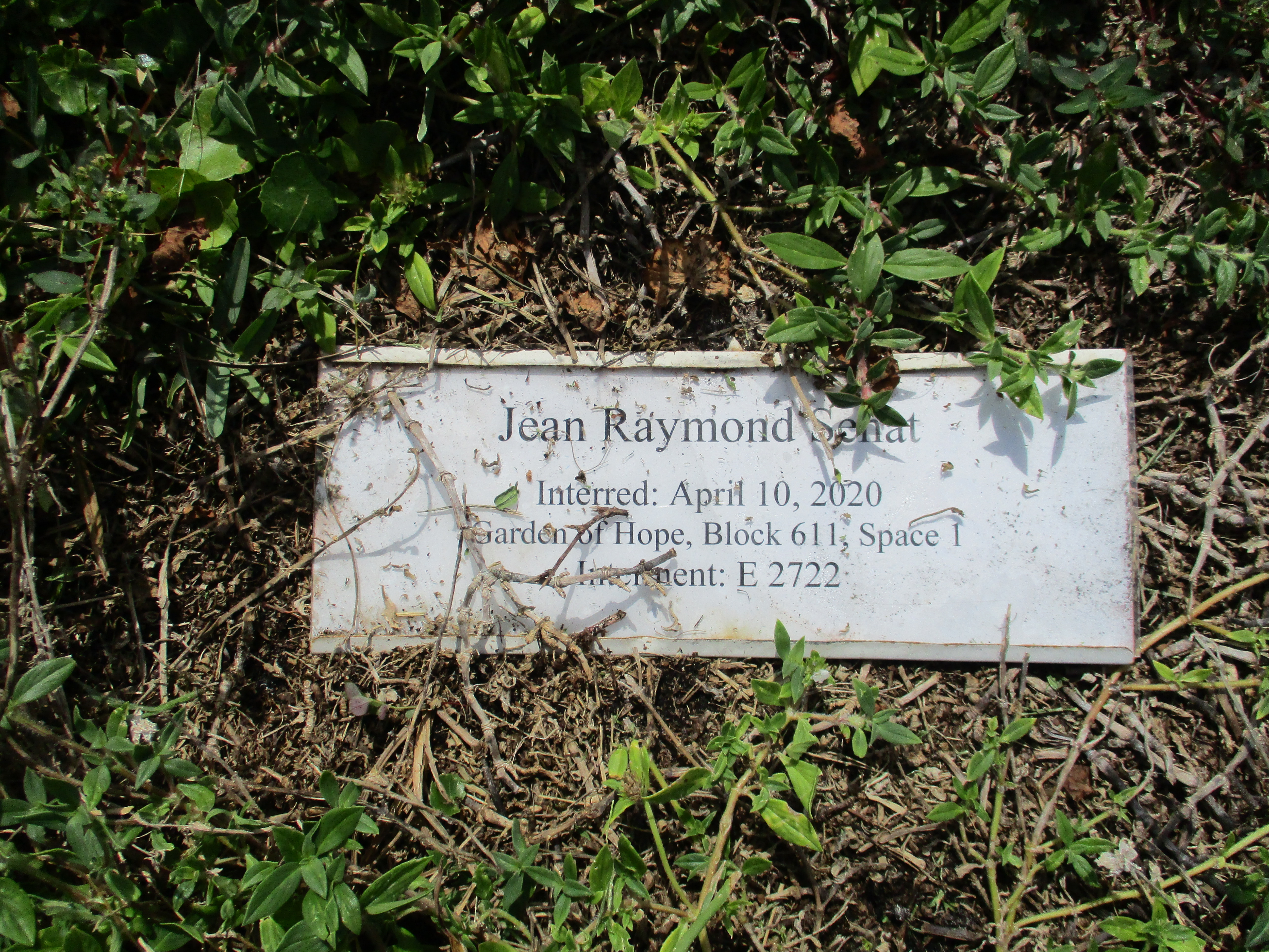 Jean Raymond Senat