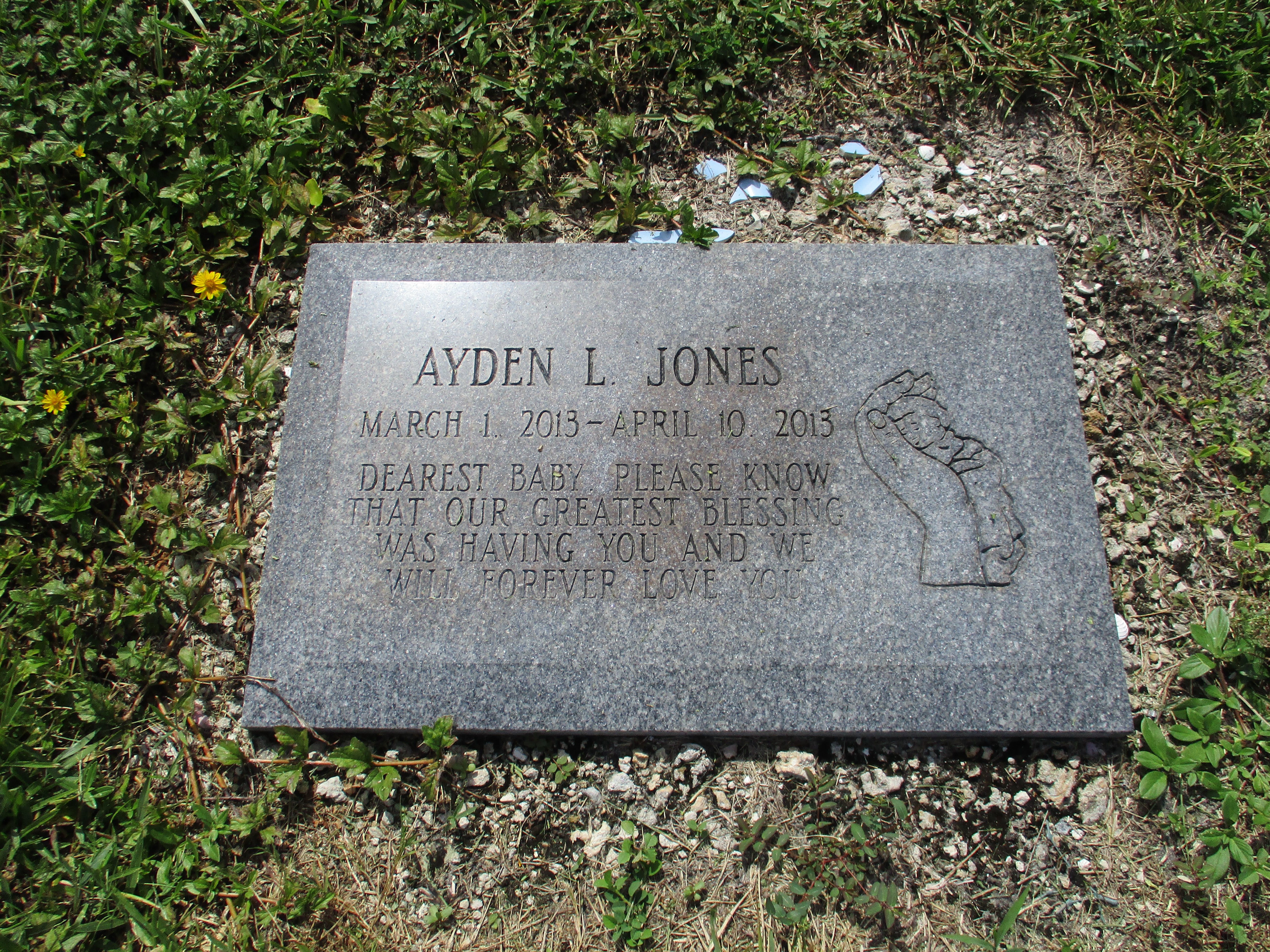 Ayden L Jones