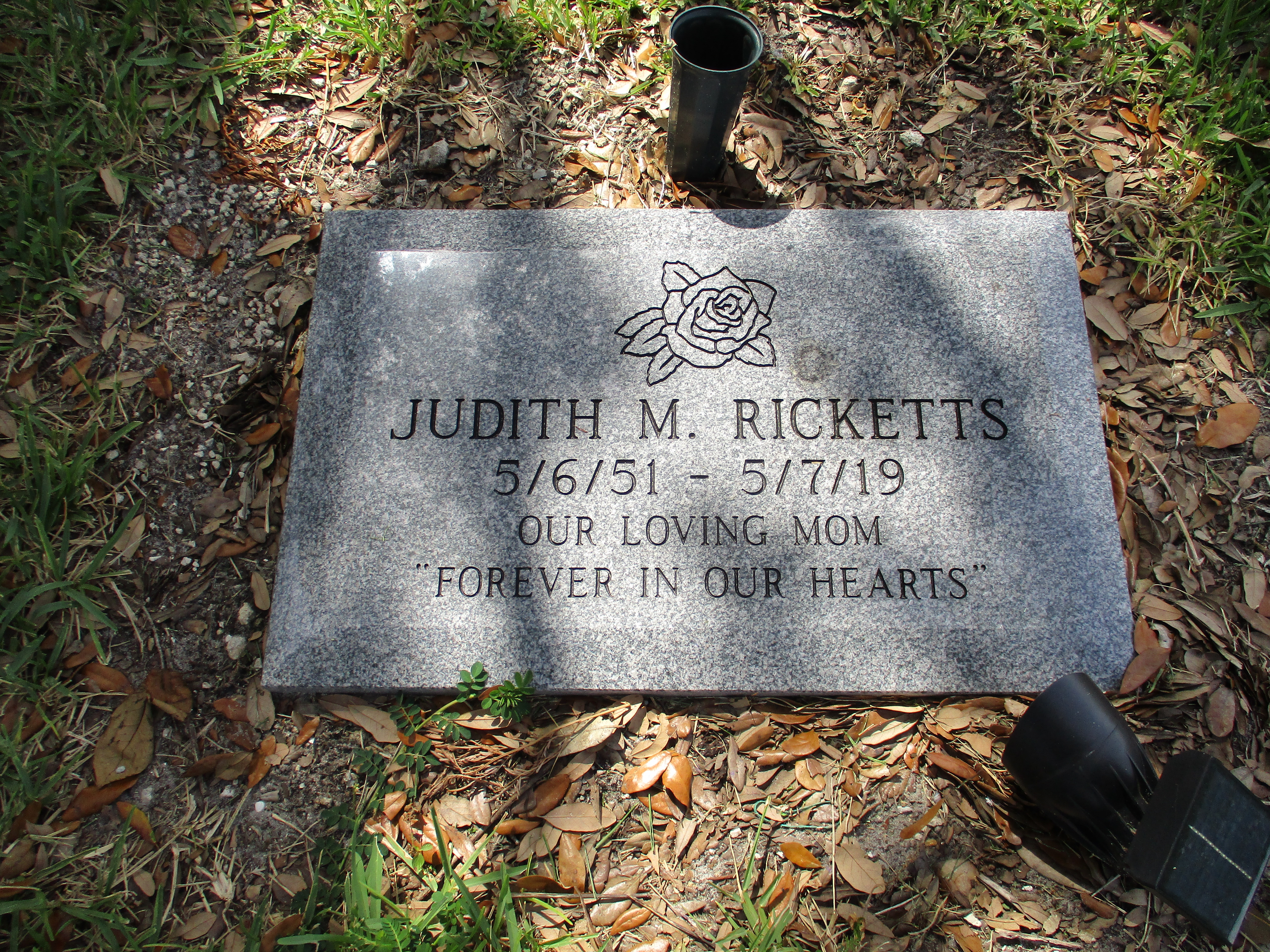 Judith M Ricketts