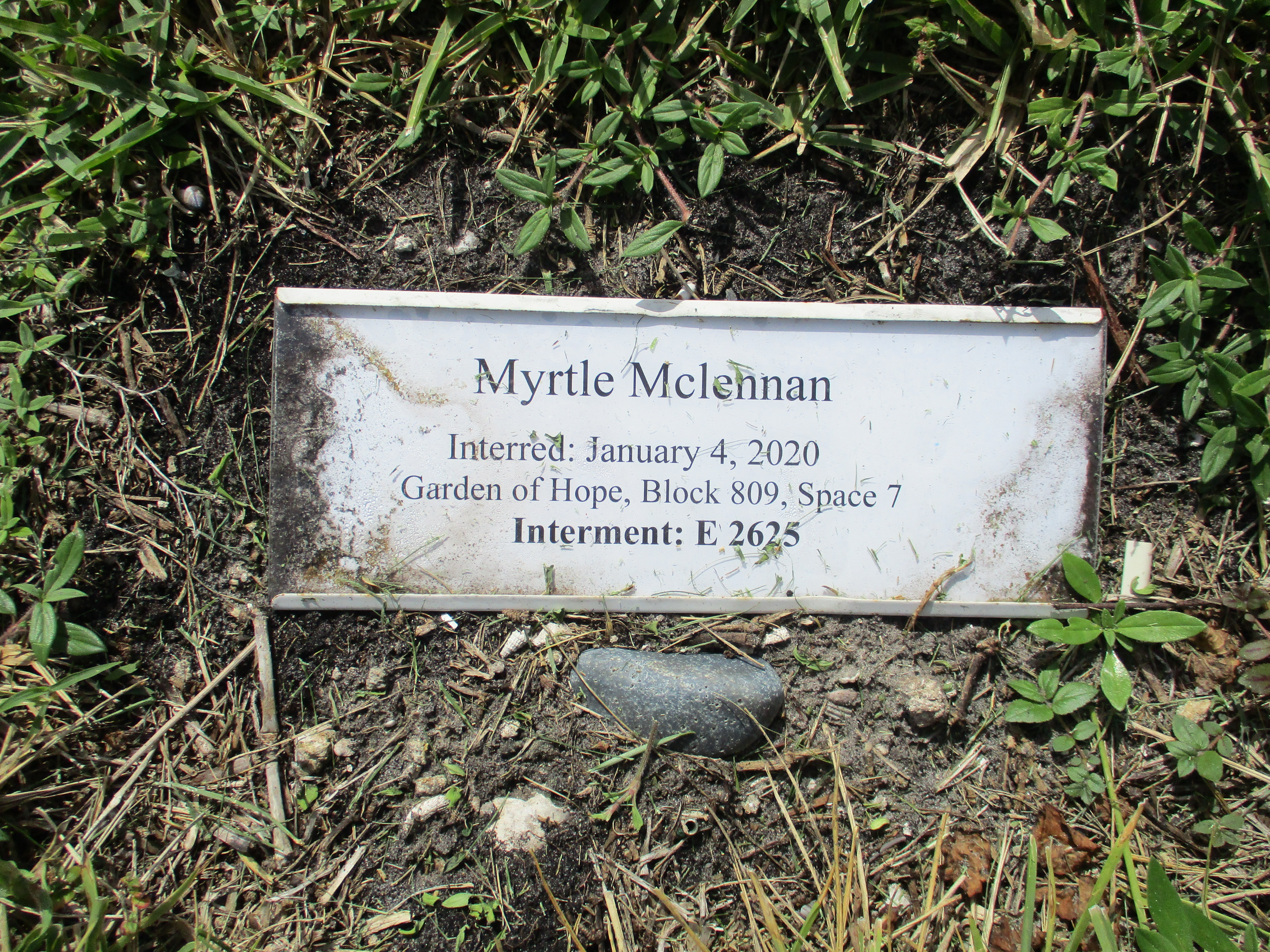 Myrtle McLennan