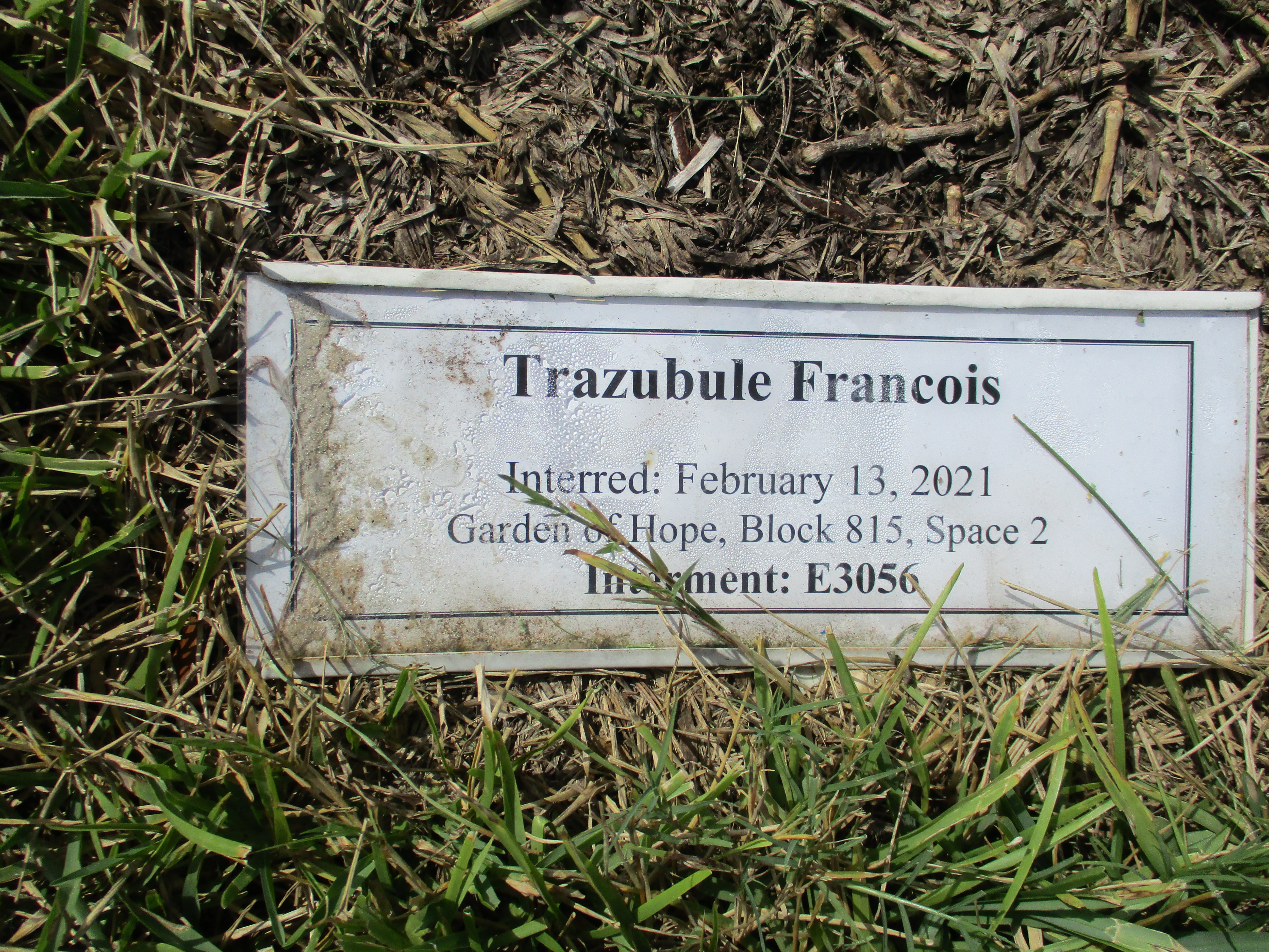 Trazubule Francois